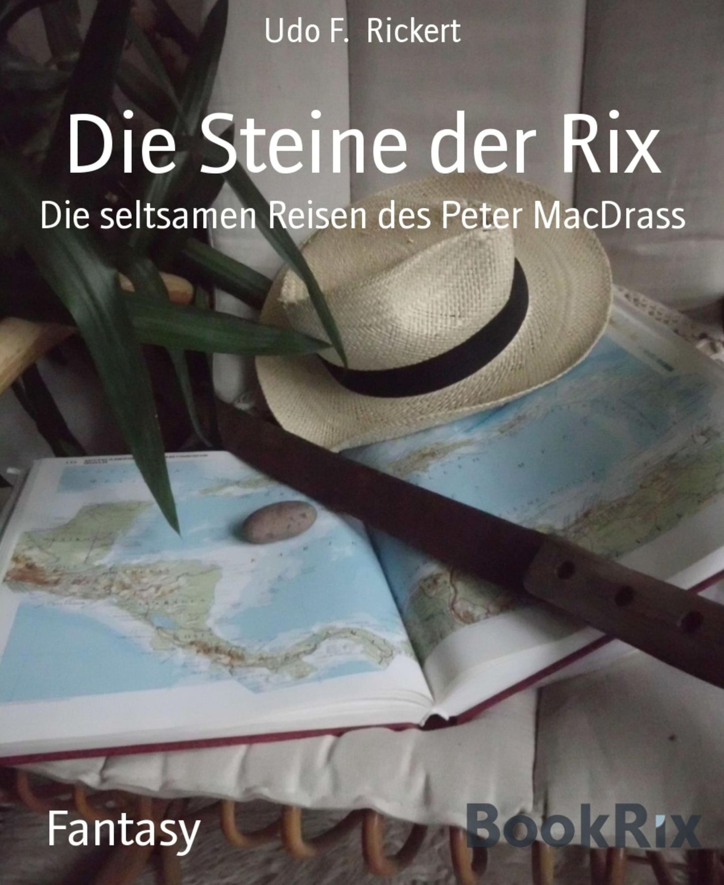 Die Steine der Rix: Die seltsamen Reisen des Peter MacDrass