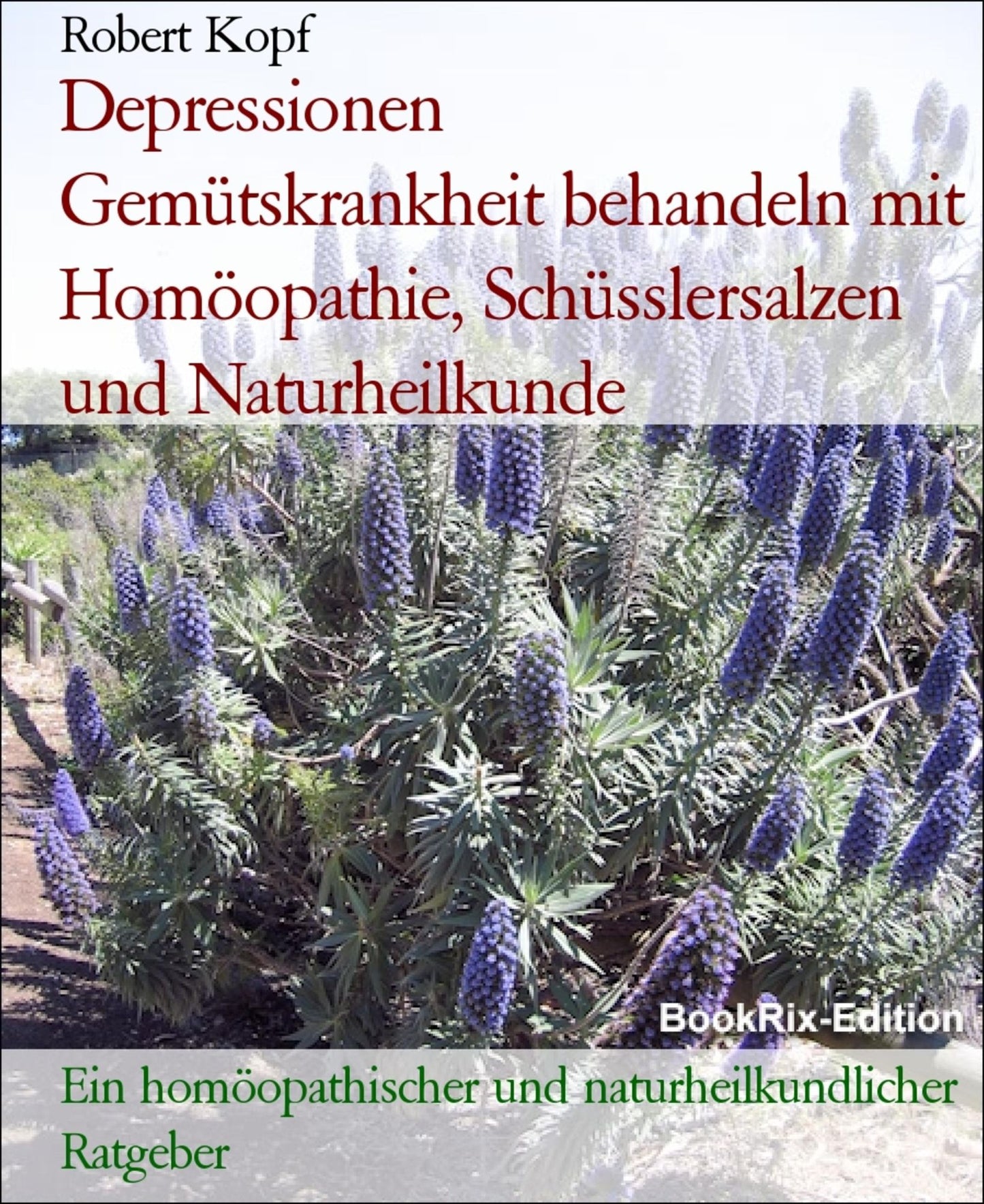Depressionen - Gemütskrankheit behandeln mit Homöopathie, Schüsslersalzen (Biochemie) und Naturheilkunde: Ein homöopathischer, biochemischer und naturheilkundlicher Ratgeber