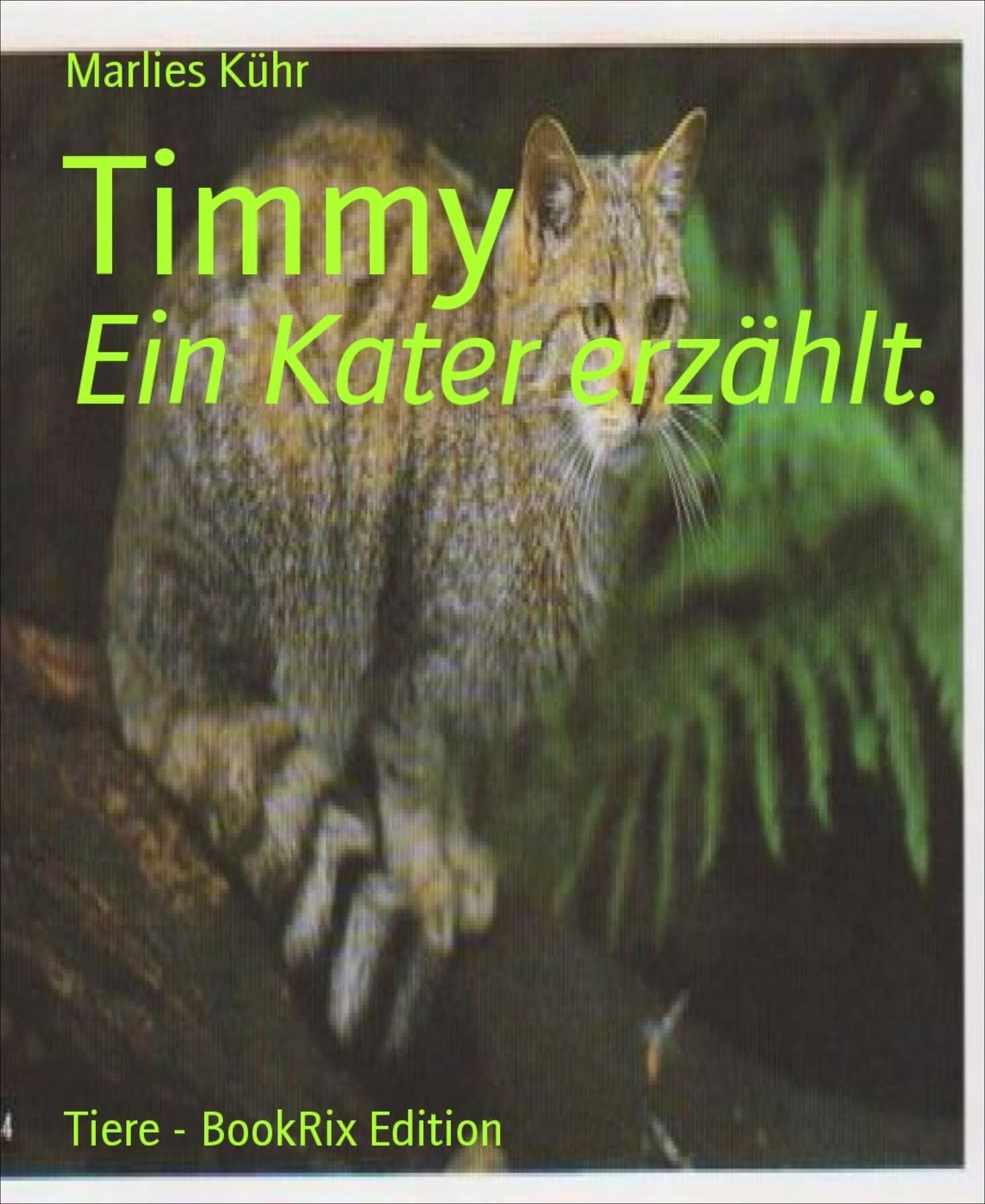 Timmy: Ein Kater erzählt.
