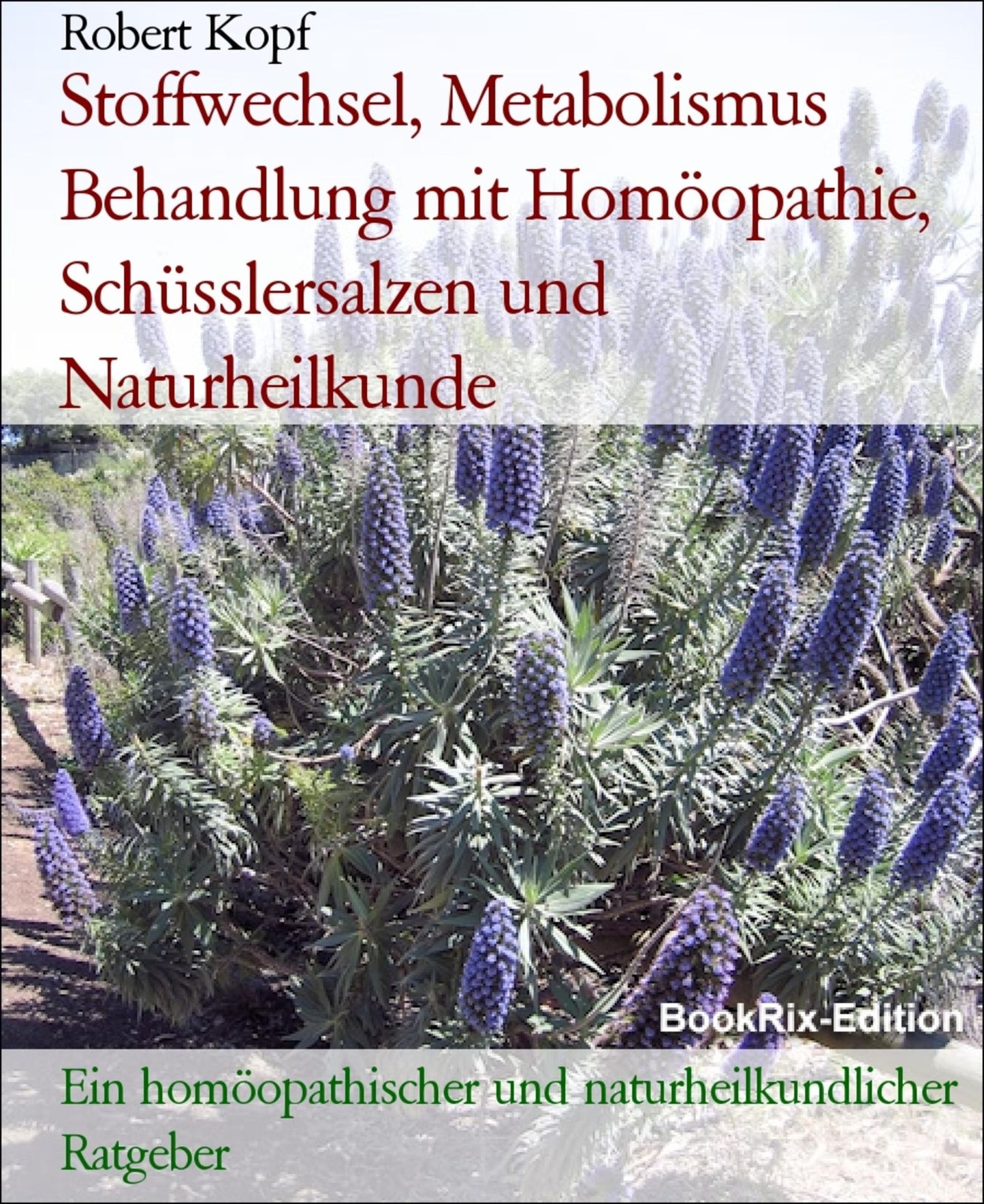 Stoffwechsel, Metabolismus - Behandlung mit Homöopathie, Schüsslersalzen (Biochemie) und Naturheilkunde: Ein homöopathischer, biochemischer und naturheilkundlicher Ratgeber