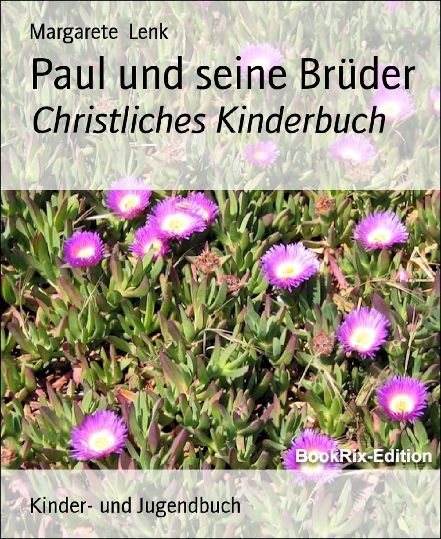 Paul und seine Brüder: Christliches Kinderbuch