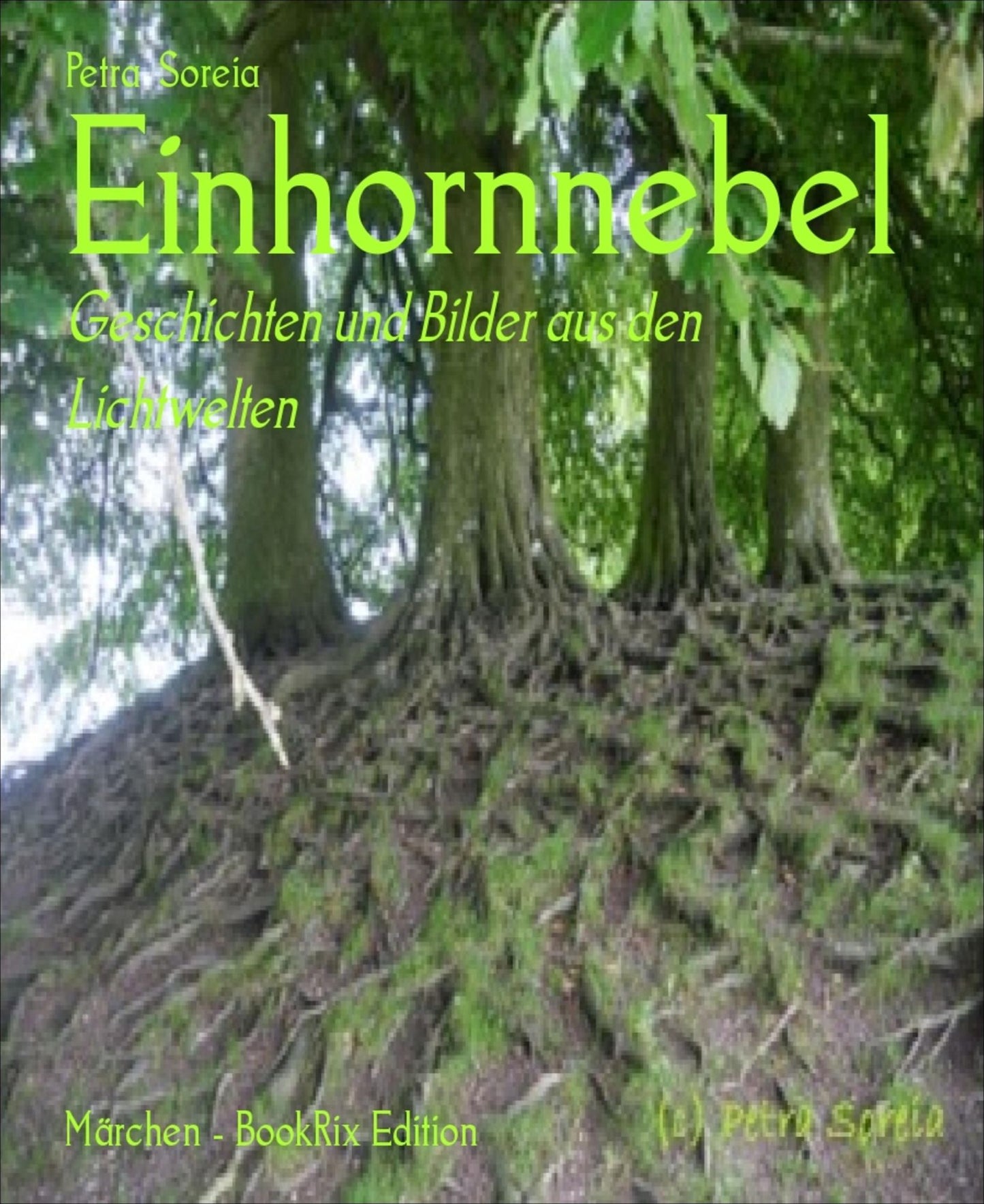 Einhornnebel: Geschichten und Bilder aus den Lichtwelten