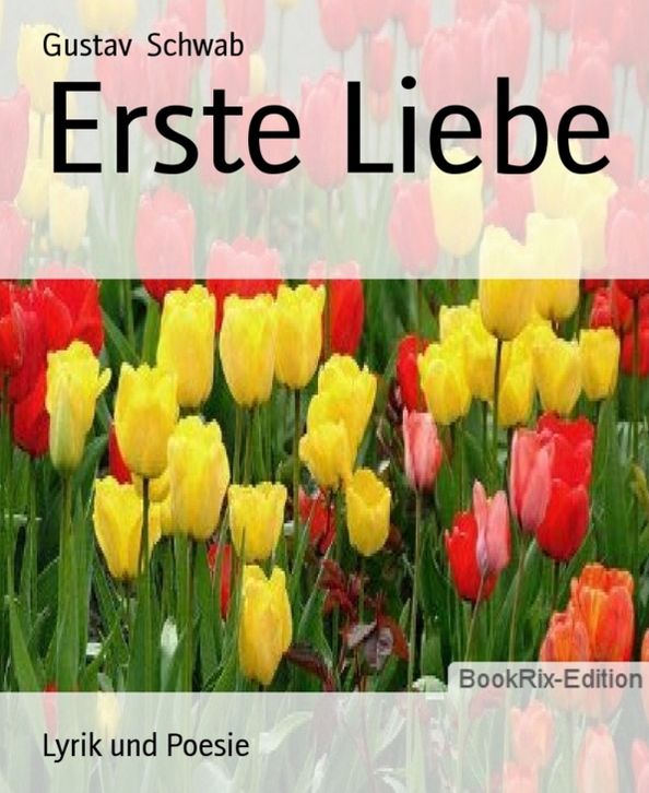 Erste Liebe