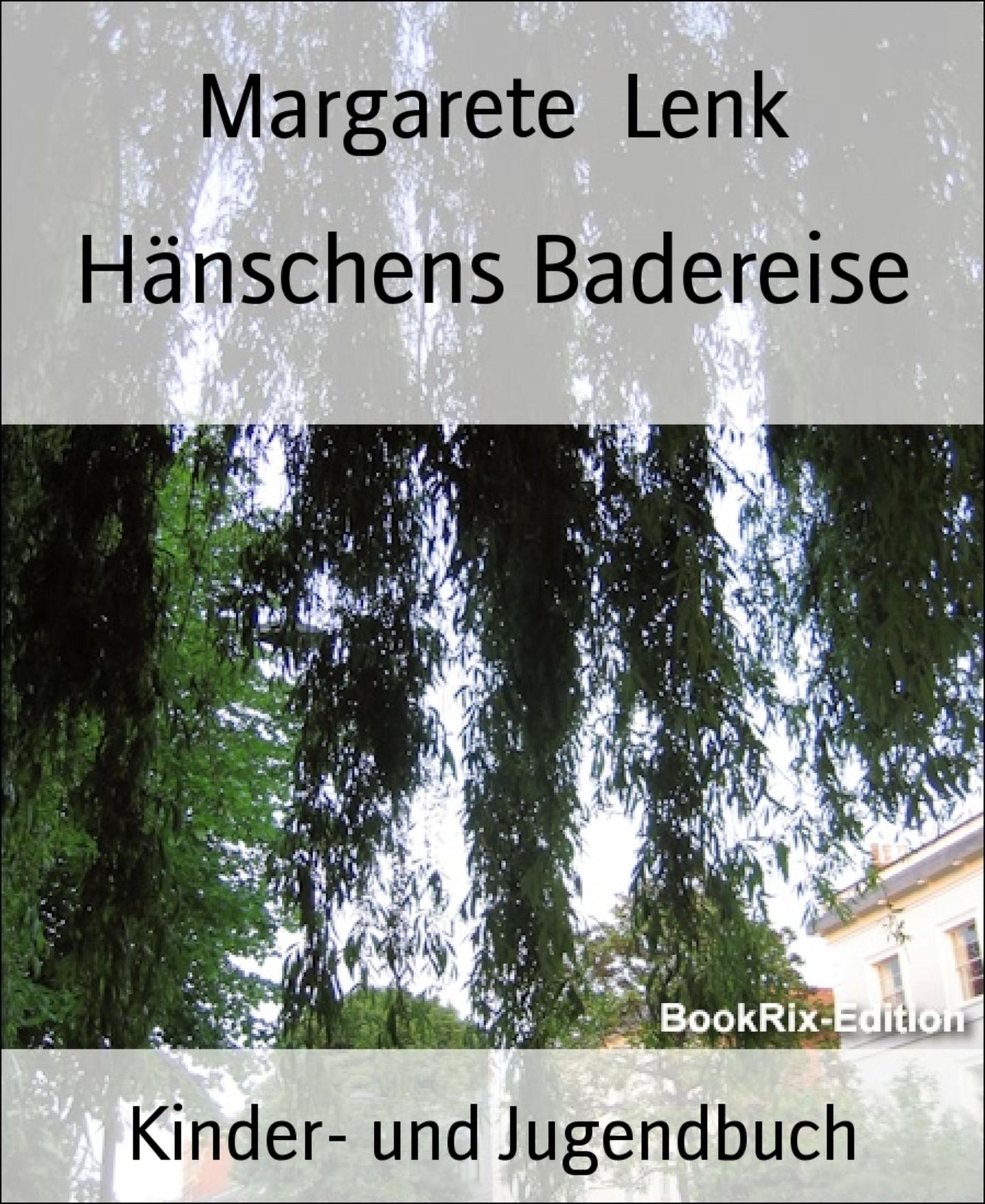 Hänschens Badereise: Christliches Kinderbuch