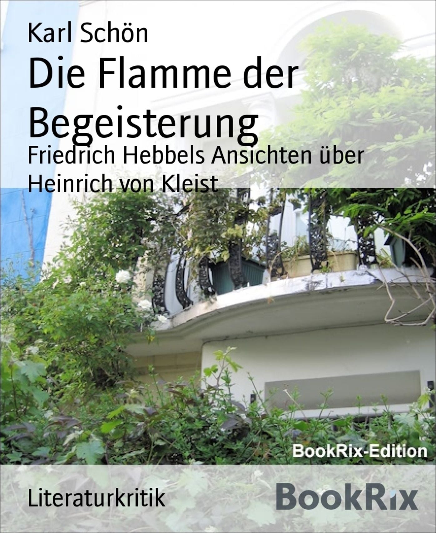 Die Flamme der Begeisterung: Friedrich Hebbels Ansichten über Heinrich von Kleist