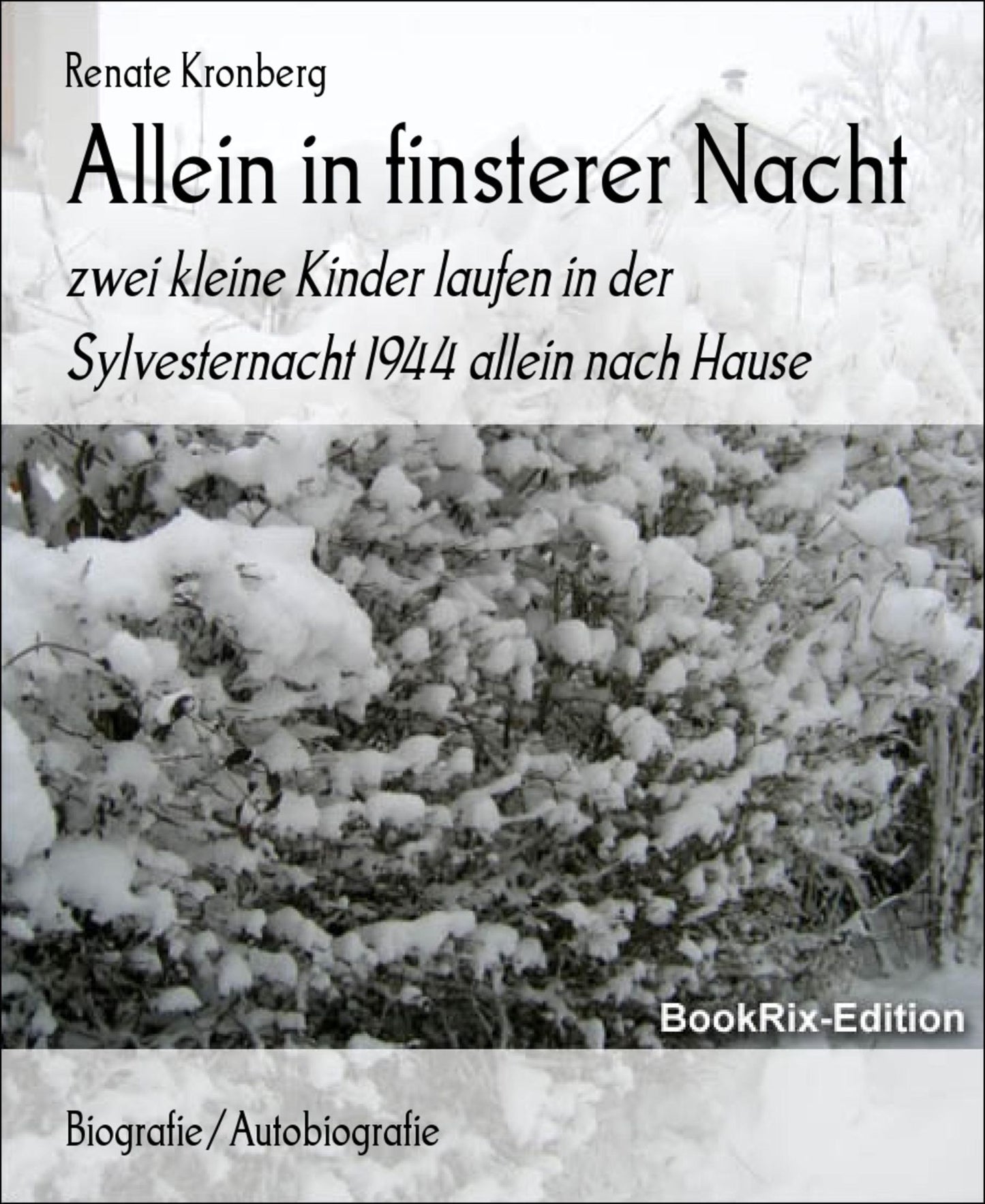 Allein in finsterer Nacht: zwei kleine Kinder laufen in der Sylvesternacht 1944 allein nach Hause