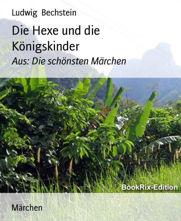 Die Hexe und die Königskinder: Aus: Die schönsten Märchen