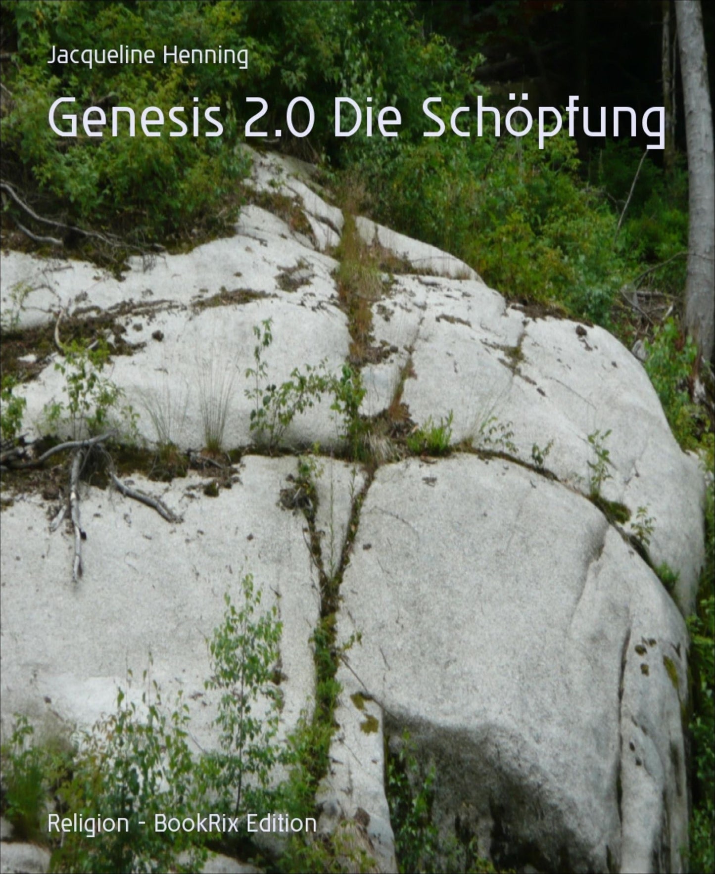 Genesis 2.0 Die Schöpfung