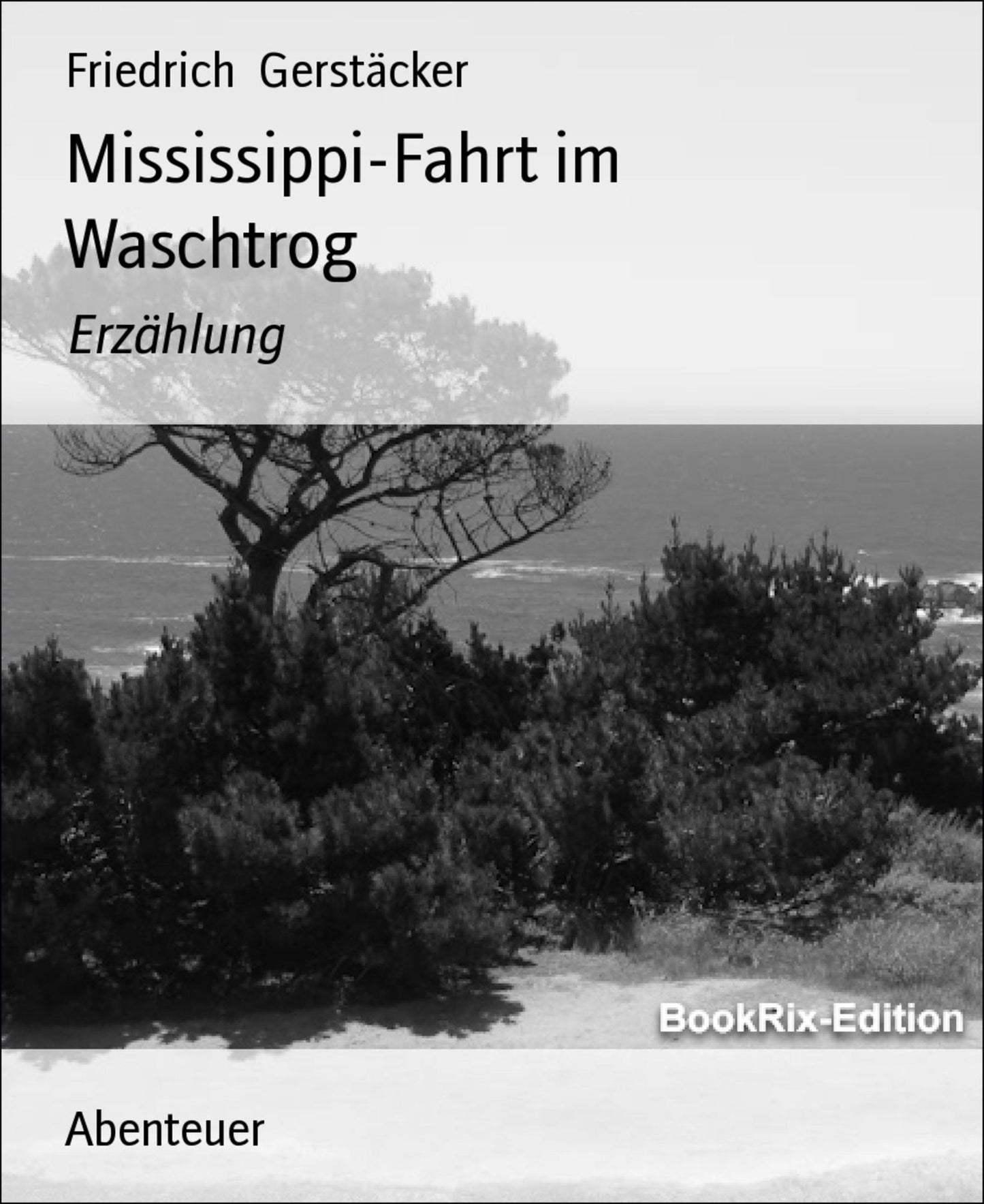 Mississippi-Fahrt im Waschtrog: Erzählung