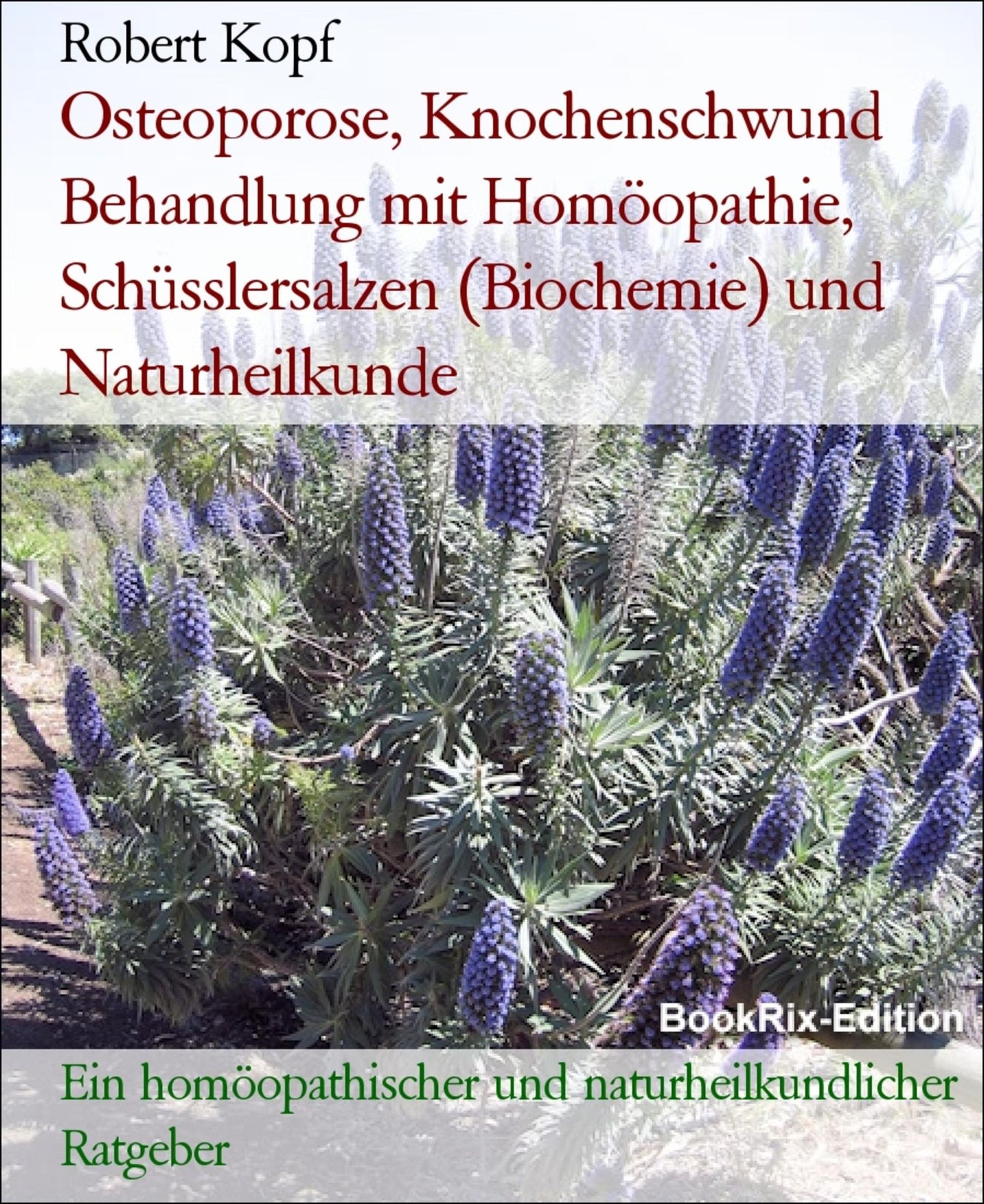 Osteoporose, Knochenschwund - Behandlung mit Homöopathie, Schüsslersalzen (Biochemie) und Naturheilkunde: Ein homöopathischer, biochemischer und naturheilkundlicher Ratgeber