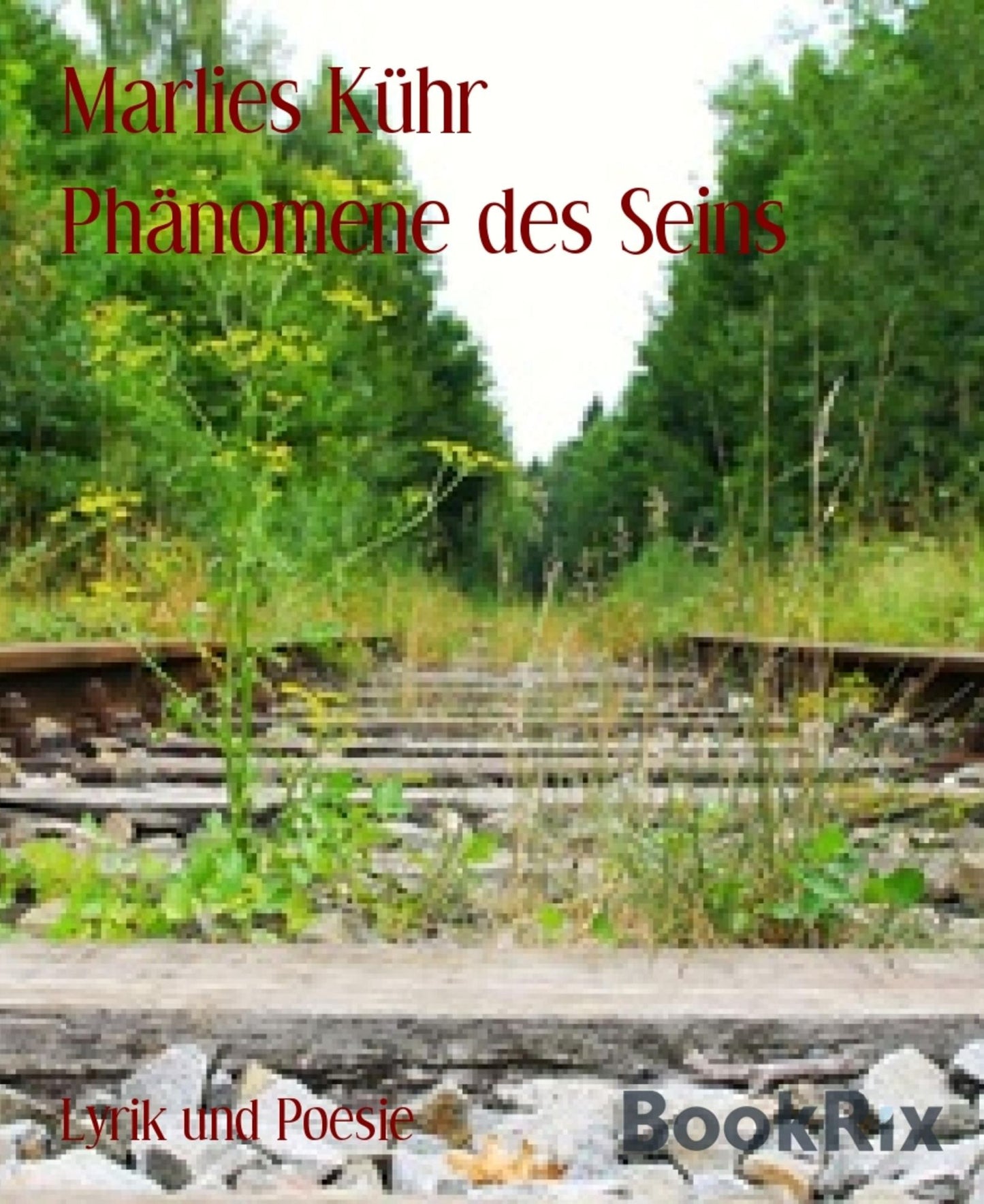 Phänomene des Seins: Teil IV Gedichte 2013