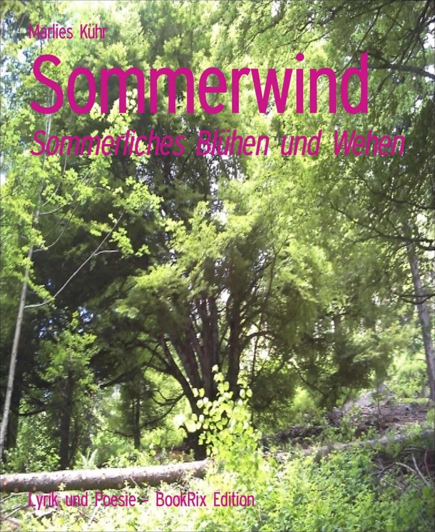 Sommerwind: Sommerliches Blühen und Wehen