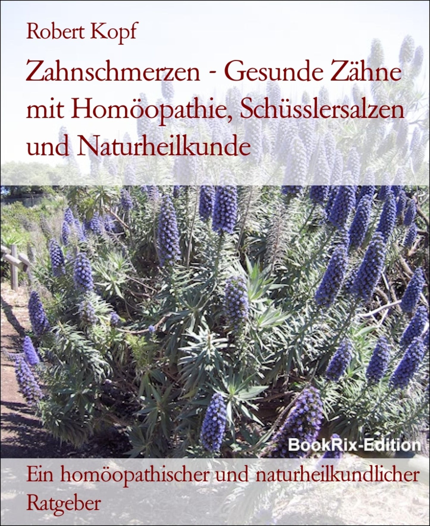 Zahnschmerzen, Zahnerkrankungen Gesunde Zähne mit Homöopathie, Schüsslersalzen (Biochemie) und Naturheilkunde: Ein homöopathischer, biochemischer und naturheilkundlicher Ratgeber