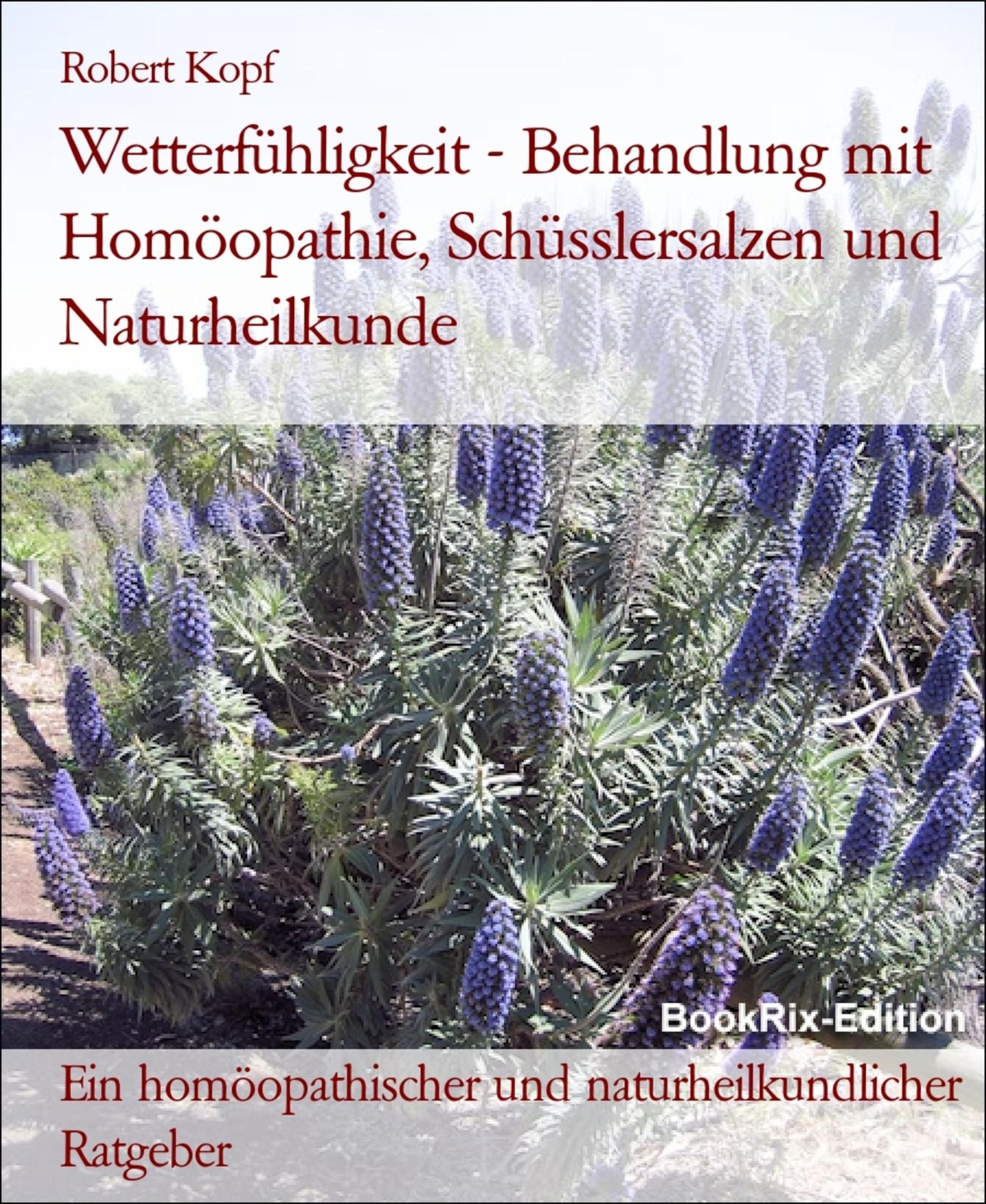 Wetterfühligkeit, Wetterempfindlichkeit - Behandlung mit Homöopathie, Schüsslersalzen (Biochemie) und Naturheilkunde: Ein homöopathischer, biochemischer und naturheilkundlicher Ratgeber
