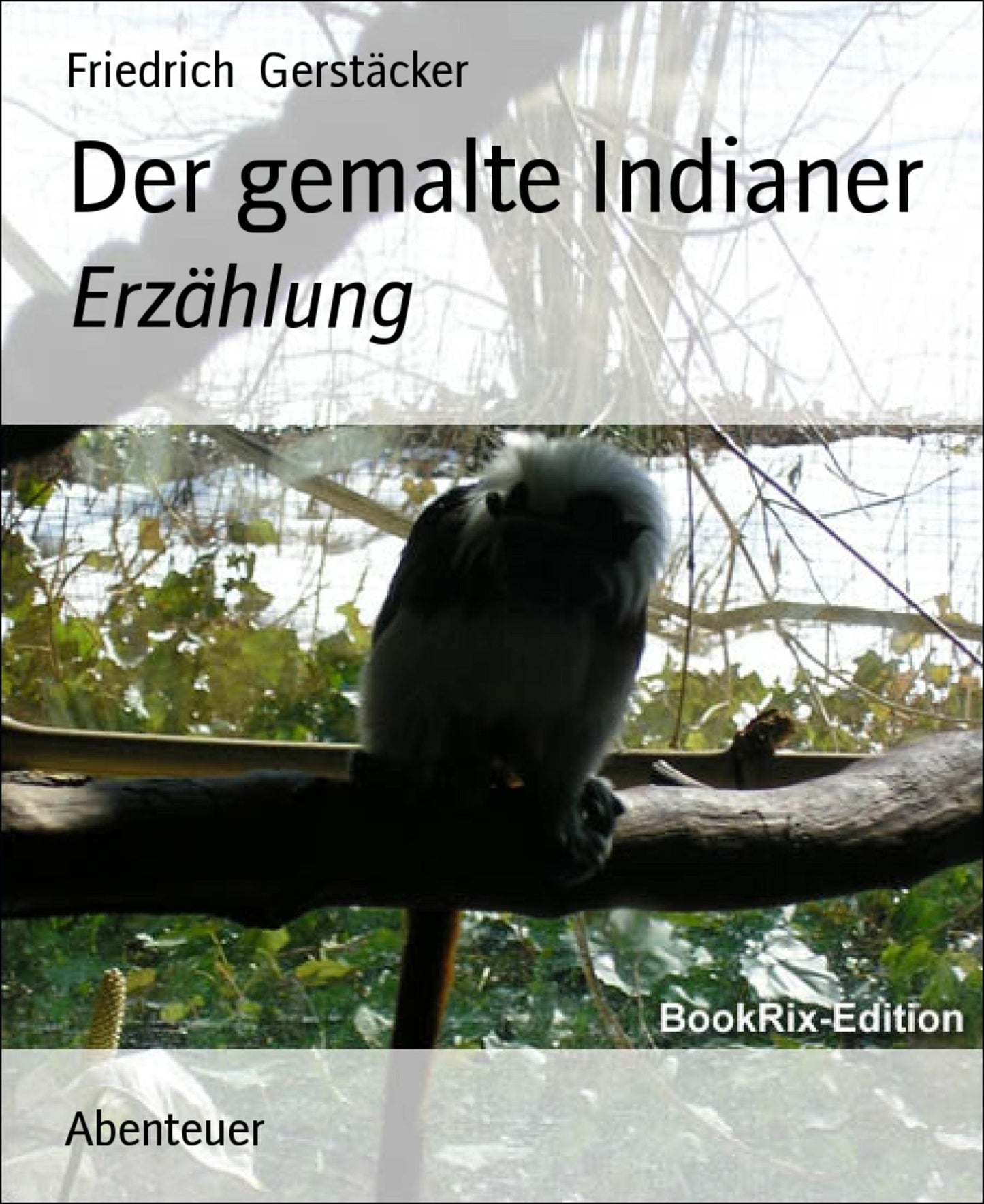 Der gemalte Indianer: Erzählung