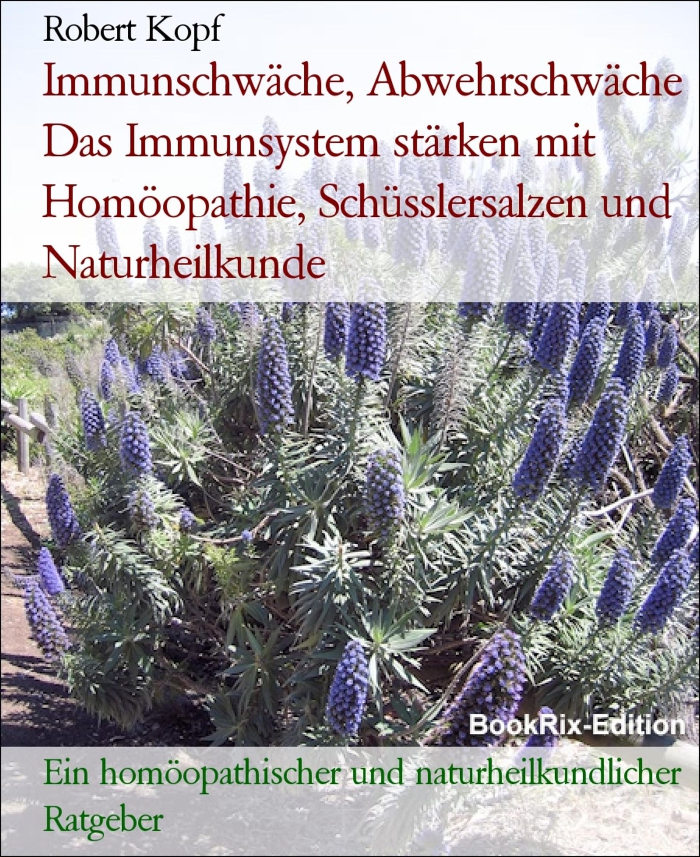Immunschwäche, Abwehrschwäche Das Immunsystem stärken mit Homöopathie, Schüsslersalzen (Biochemie) und Naturheilkunde: Ein homöopathischer, biochemischer und naturheilkundlicher Ratgeber