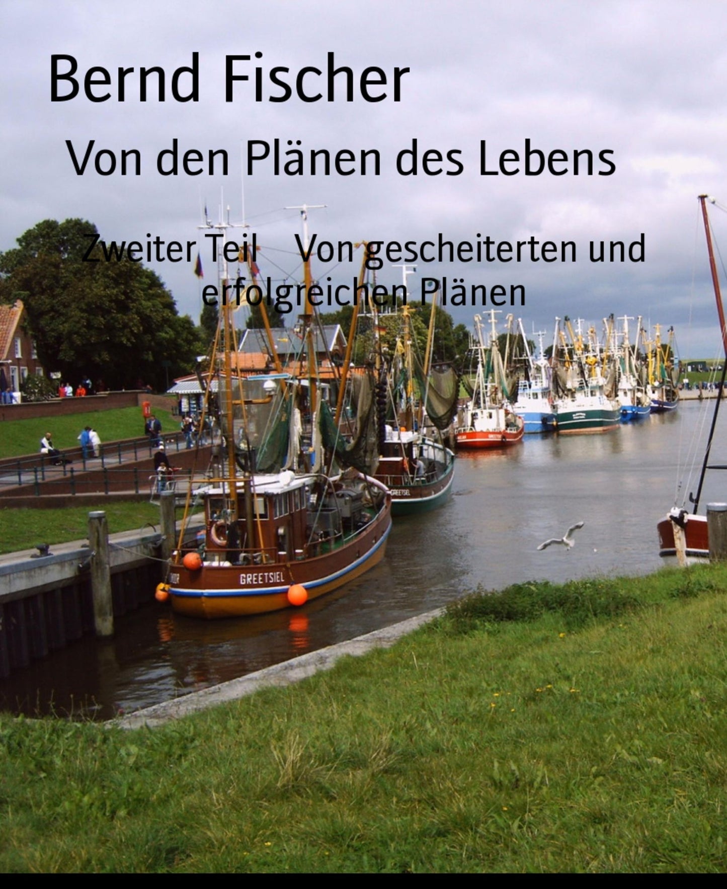 Von den Plänen des Lebens: Zweiter Teil Von gescheiterten und erfolgreichen Plänen