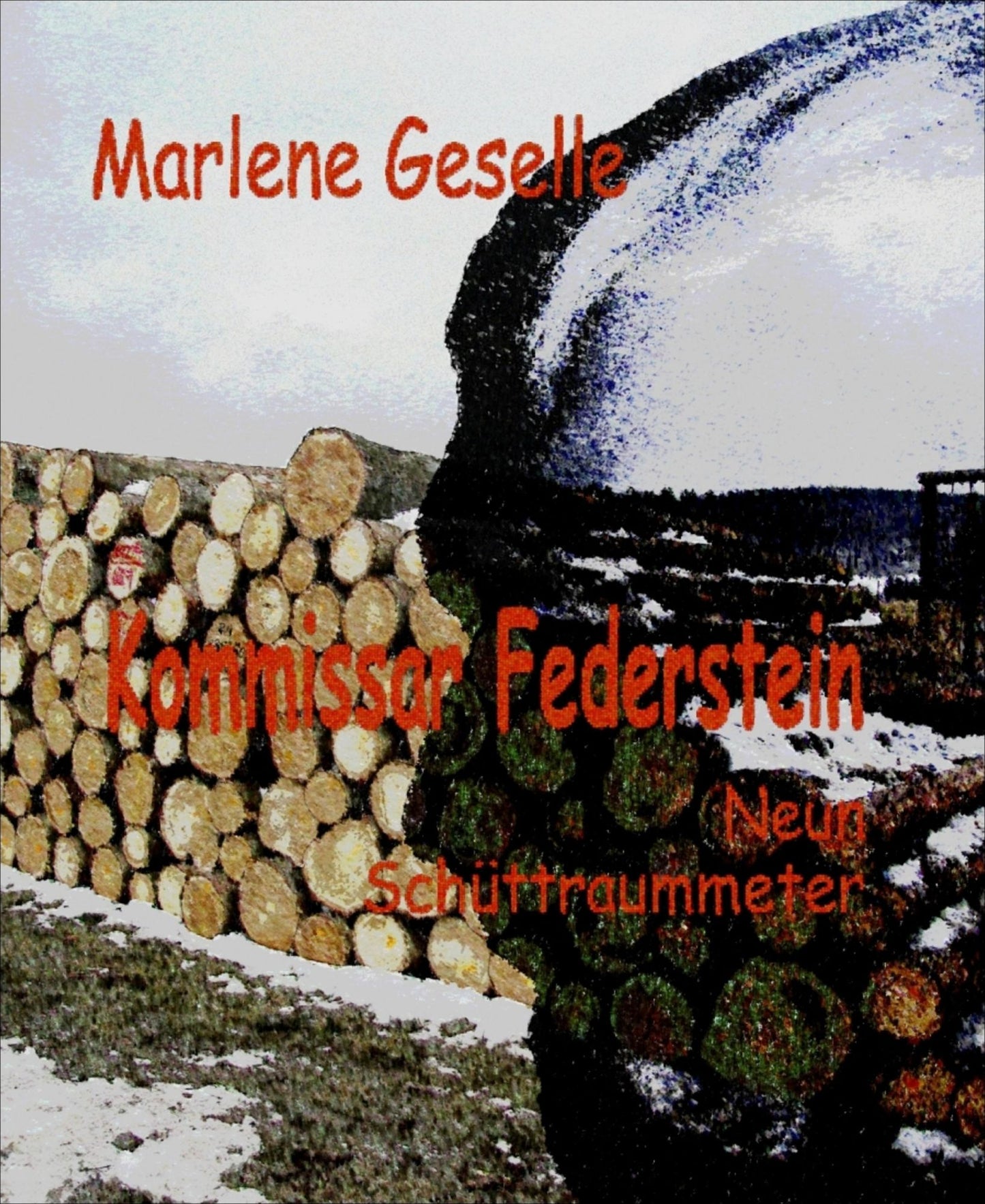 Neun Schüttraummeter: Kommissar Federstein - 1. Fall