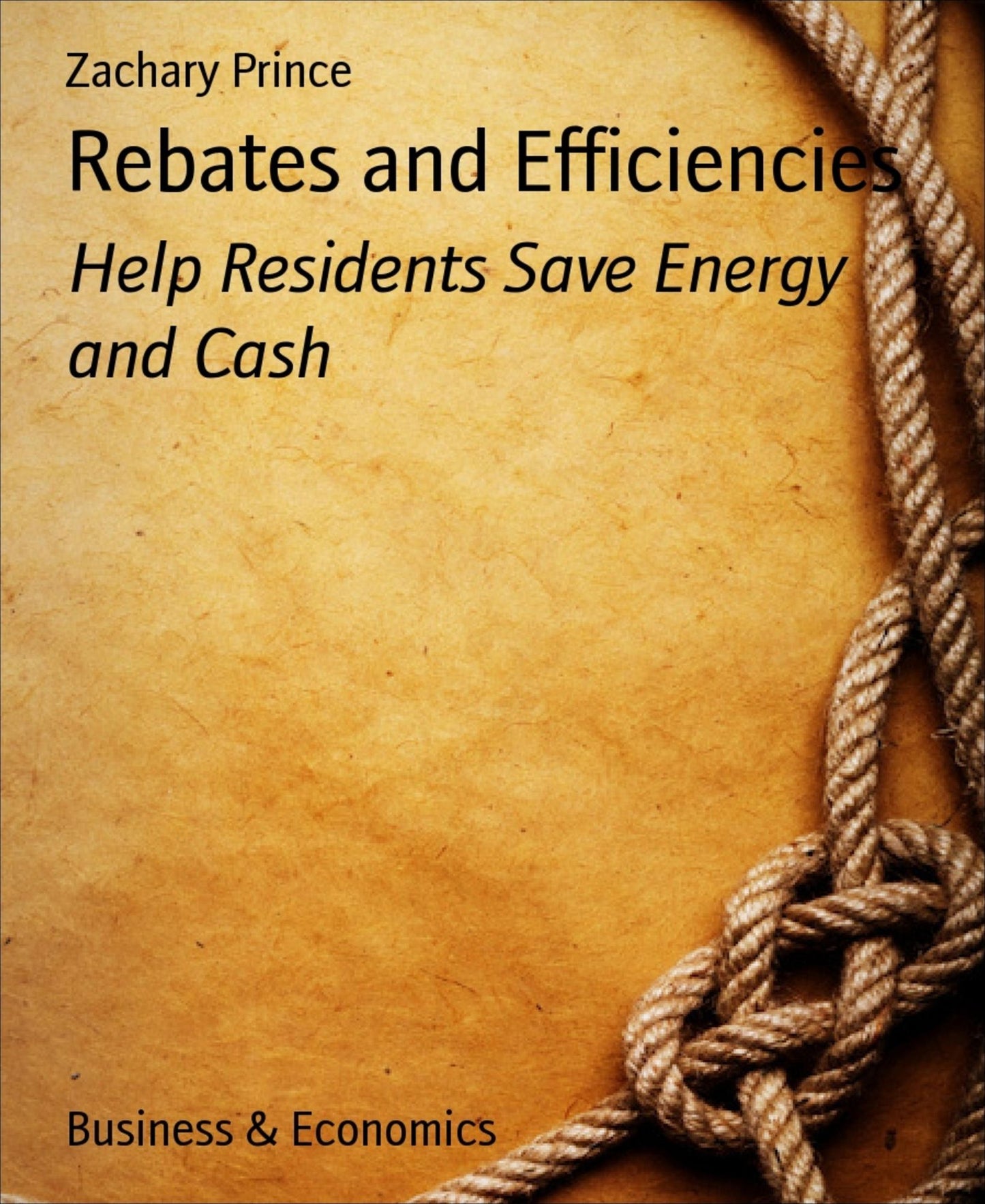 Rebates and Efficiencies: Help Residents Save Energy and Cash