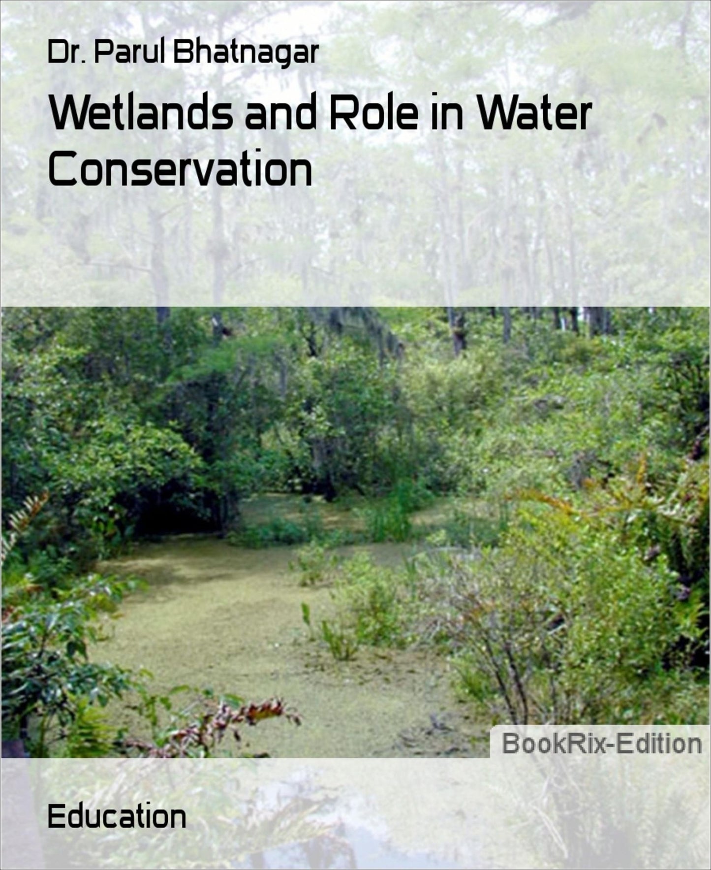 Wetlands and Role in Water Conservation