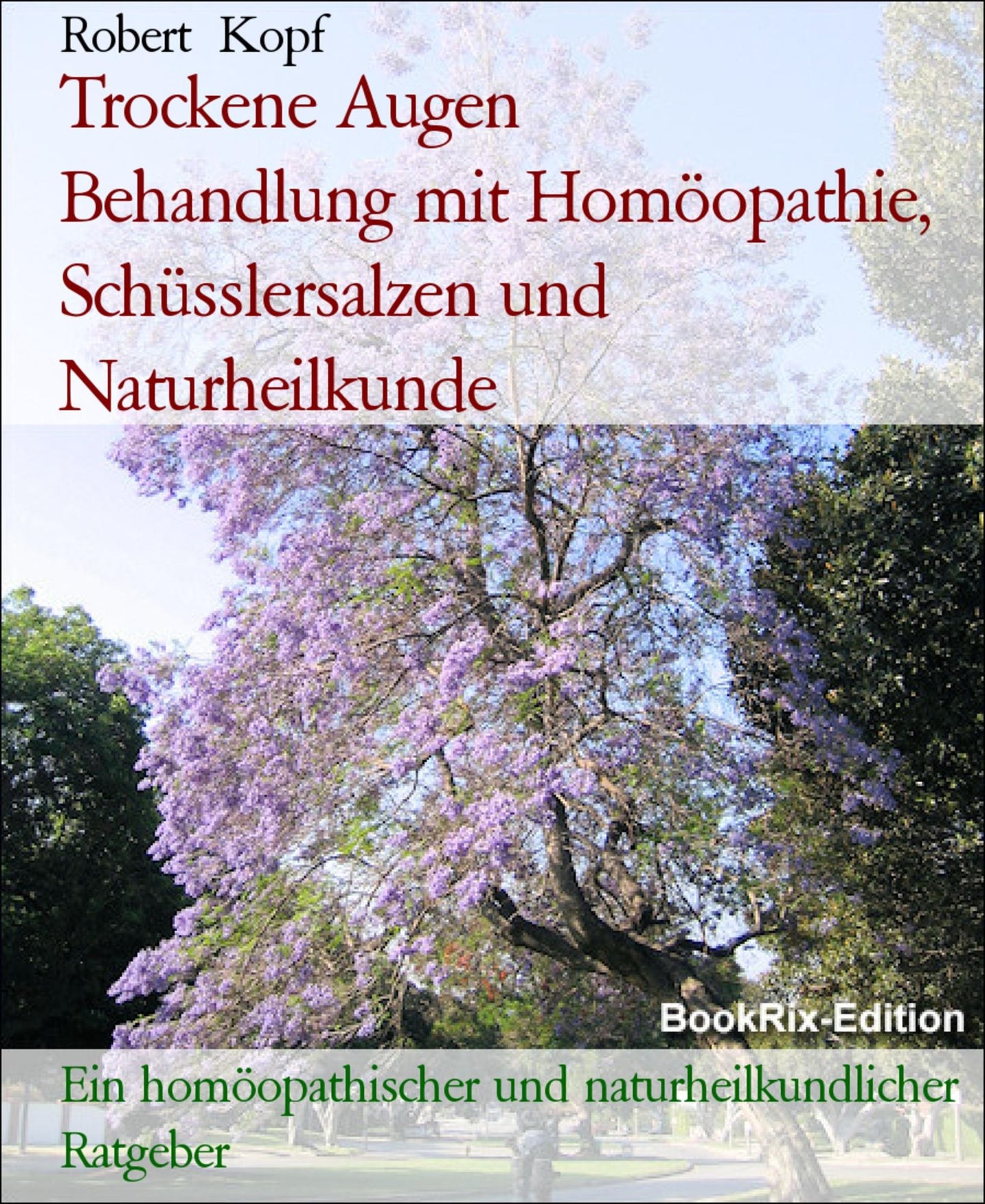 Trockene Augen - Behandlung und Vorbeugung mit Homöopathie, Schüsslersalzen (Biochemie) und Naturheilkunde: Ein homöopathischer, biochemischer und naturheilkundlicher Ratgeber