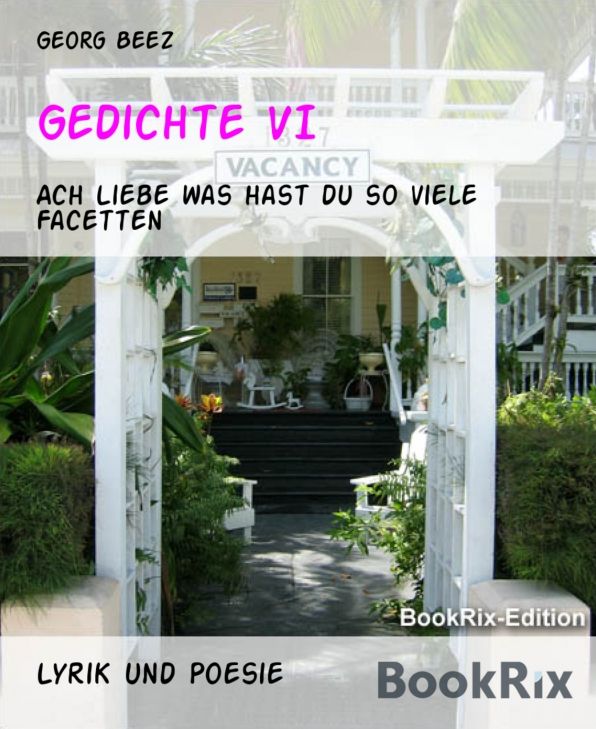 Gedichte VI: Ach Liebe was hast du so viele Facetten