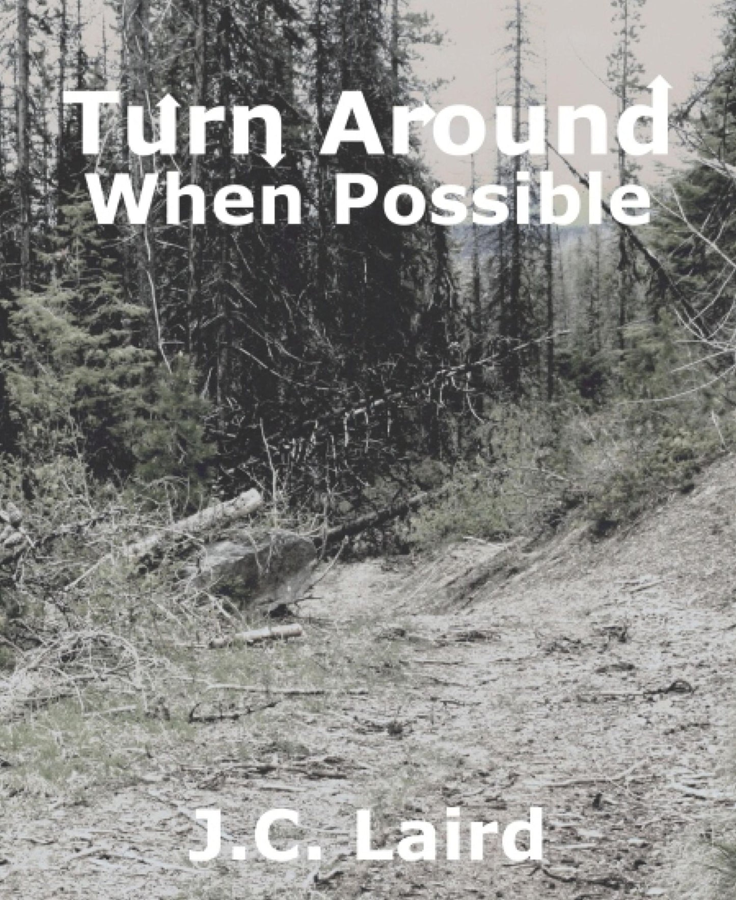 Turn Around When Possible: A Short Story