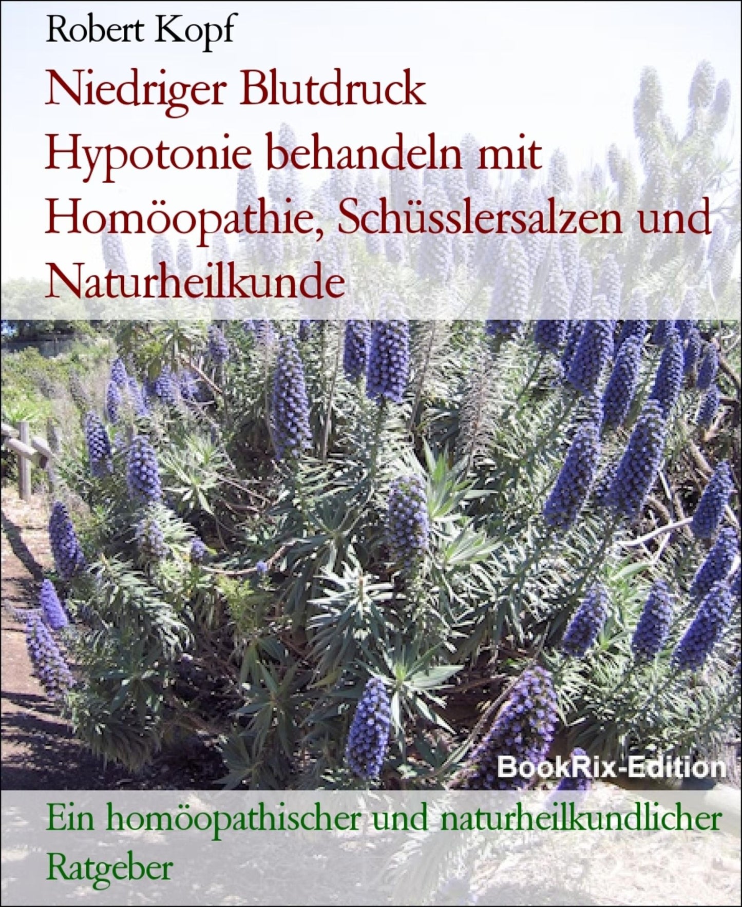 Hypotonie, Niedriger Blutdruck - Kreislaufschwäche behandeln mit Homöopathie, Schüsslersalzen und Naturheilkunde: Ein homöopathischer, biochemischer und naturheilkundlicher Ratgeber