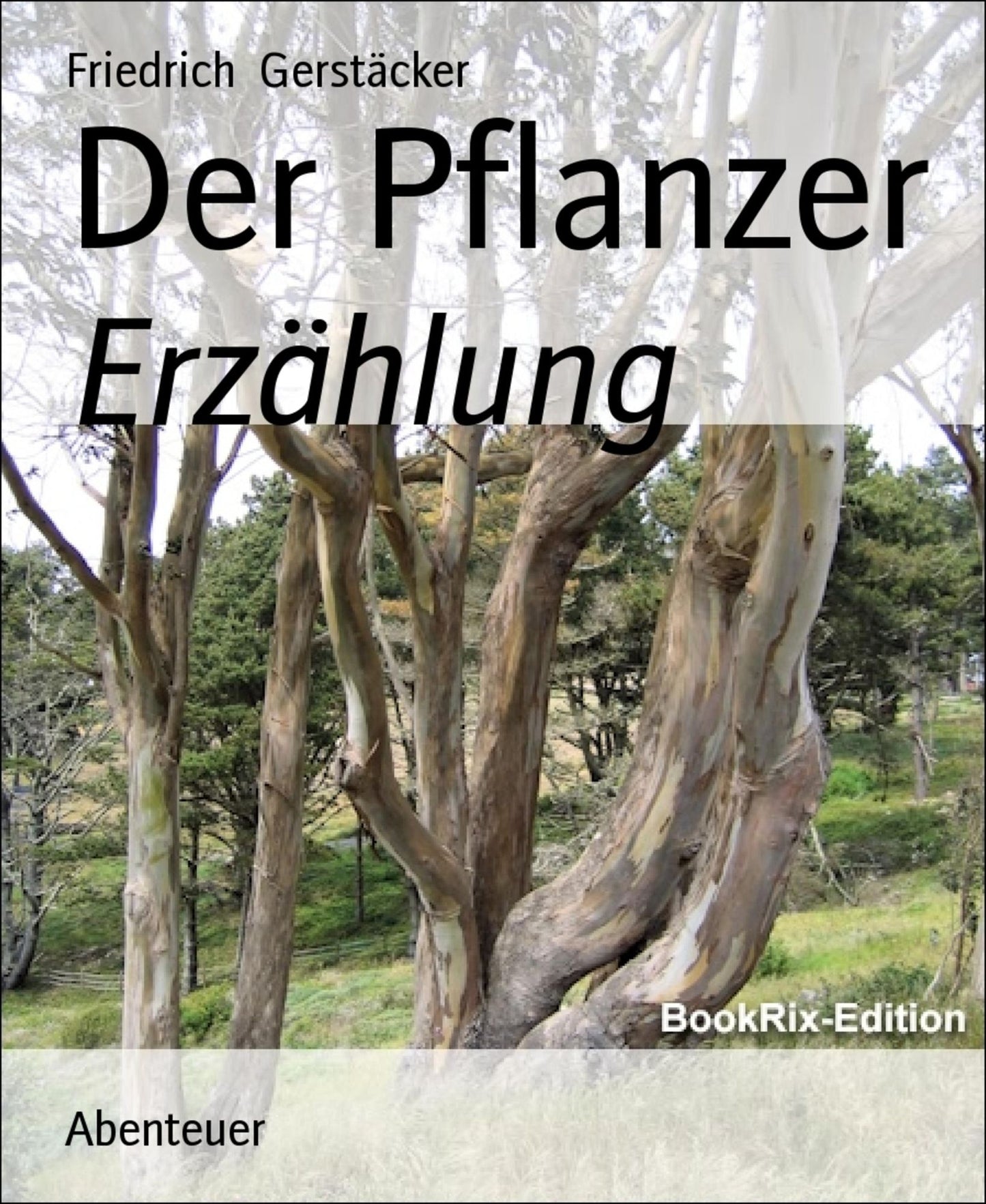 Der Pflanzer: Erzählung