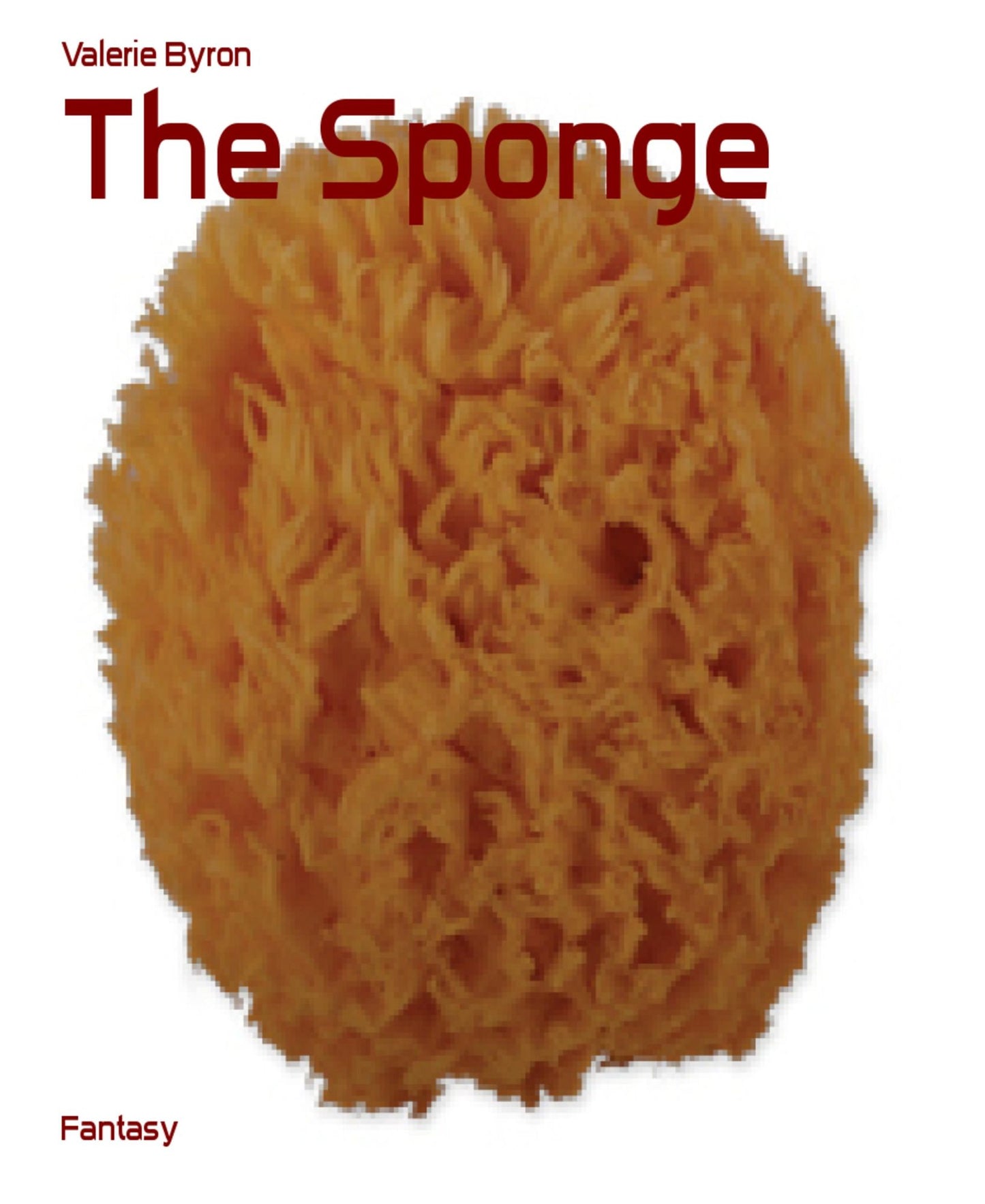 The Sponge