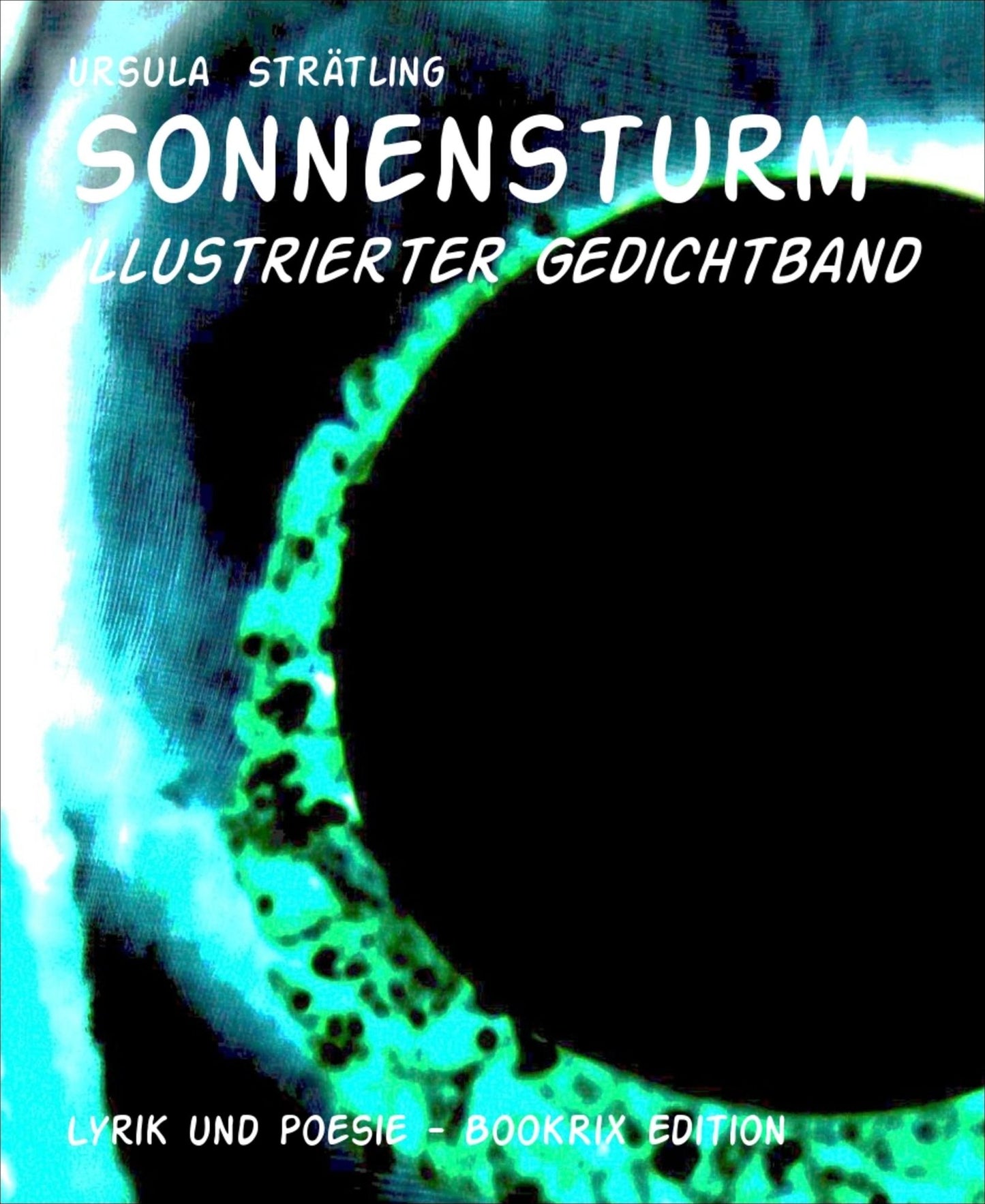 Sonnensturm: illustrierter Gedichtband