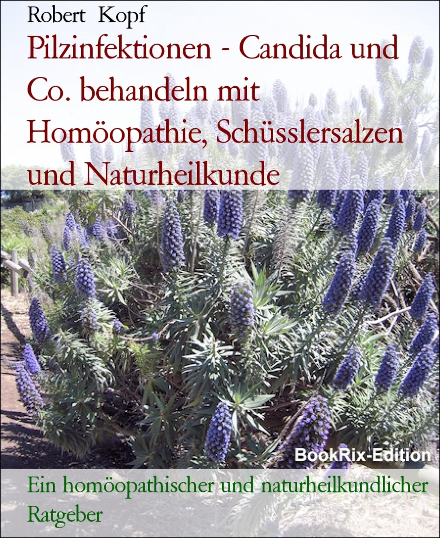 Pilzerkrankungen, Pilzinfektionen - Behandlung mit Homöopathie, Schüsslersalzen (Biochemie) und Naturheilkunde: Ein homöopathischer, biochemischer und naturheilkundlicher Ratgeber