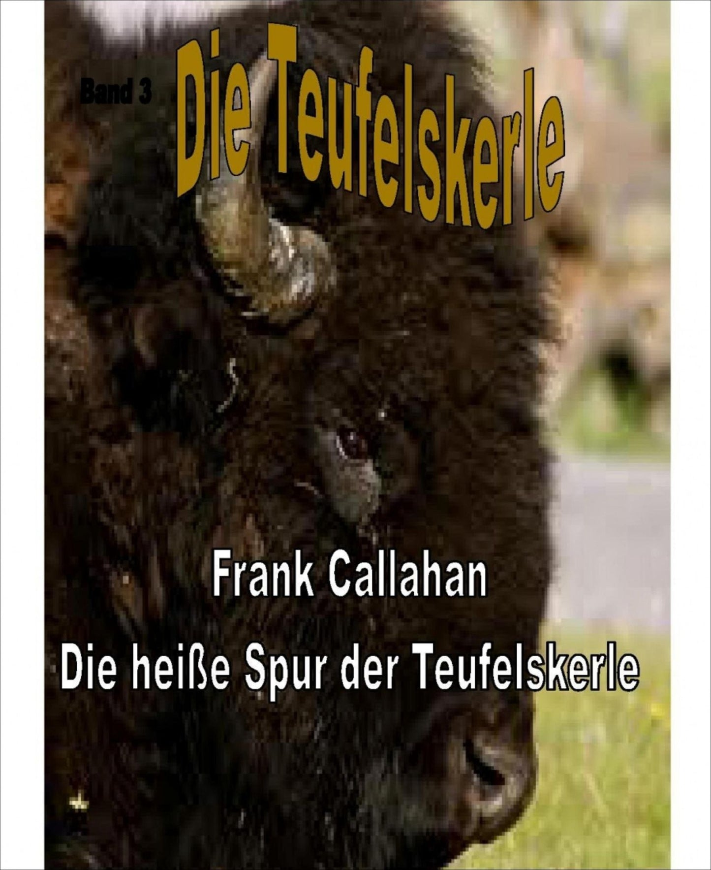 Die heiße Spur der Teufelskerle: Die Teufelskerle - Band 4