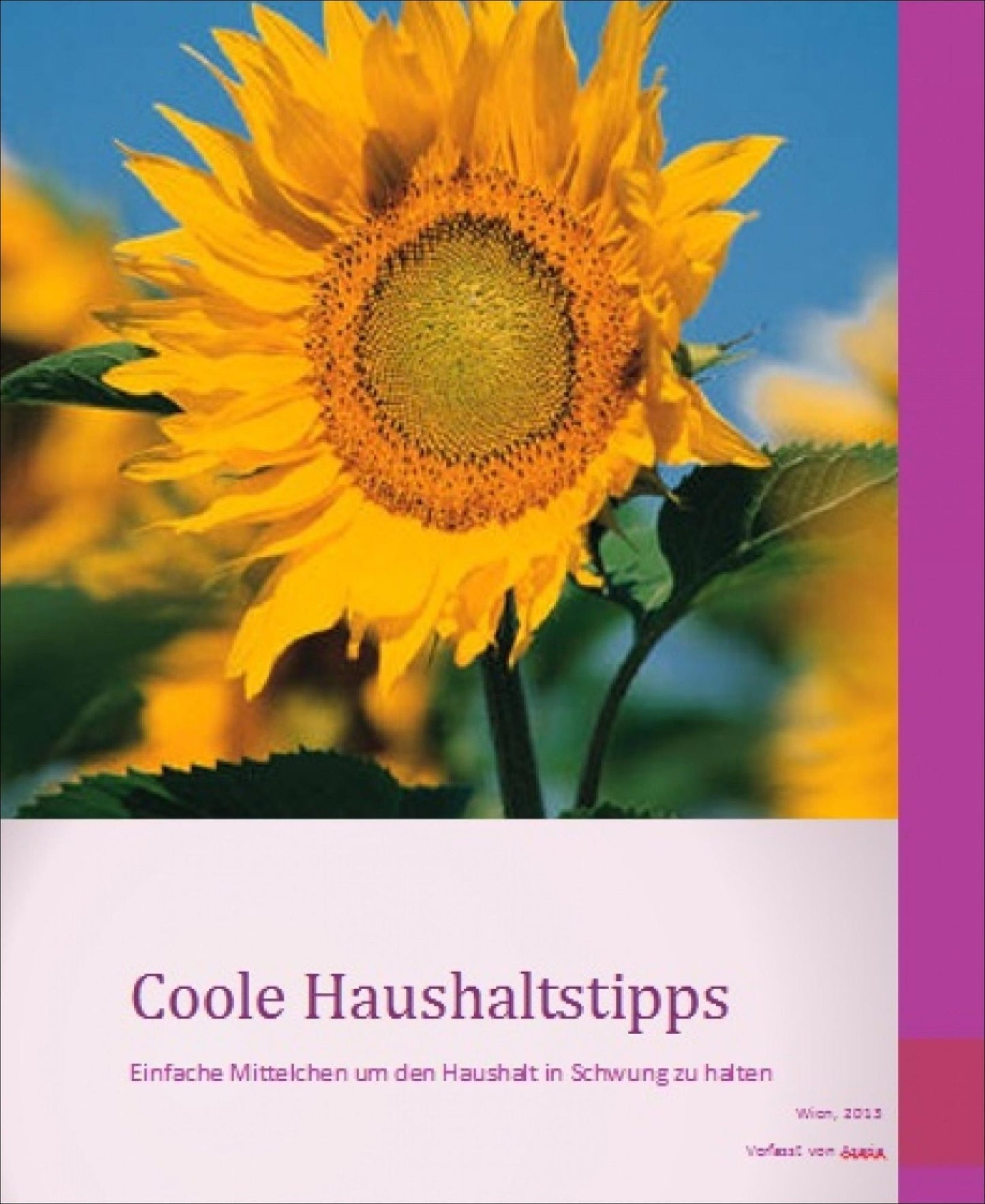 Coole Haushaltstipps: Einfache Mittelchen um den Haushalt in Schwung zu halten