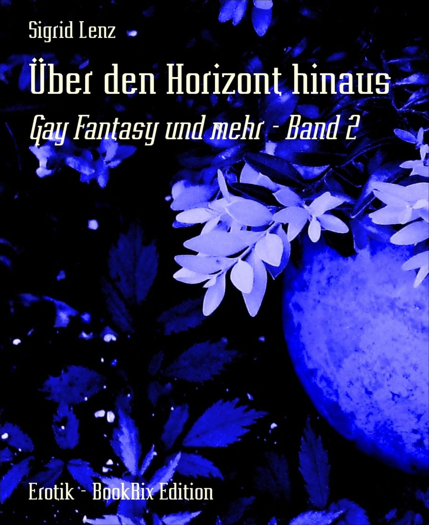 Über den Horizont hinaus: Gay Fantasy und mehr - Band 2