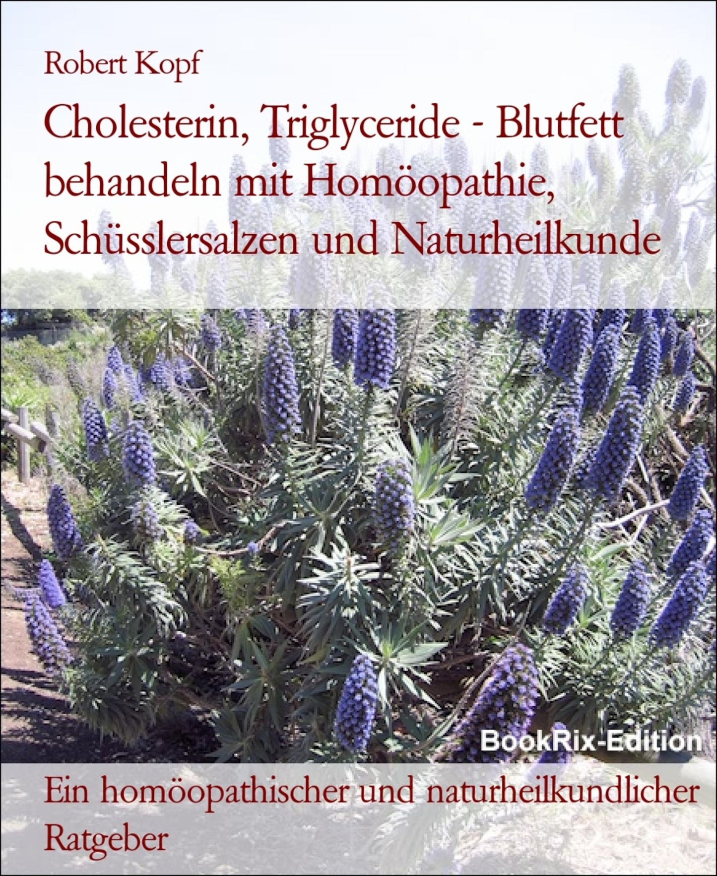 Cholesterin, Triglyceride - Blutfett behandeln mit Homöopathie, Schüsslersalzen (Biochemie) und Naturheilkunde: Ein homöopathischer, biochemischer und naturheilkundlicher Ratgeber