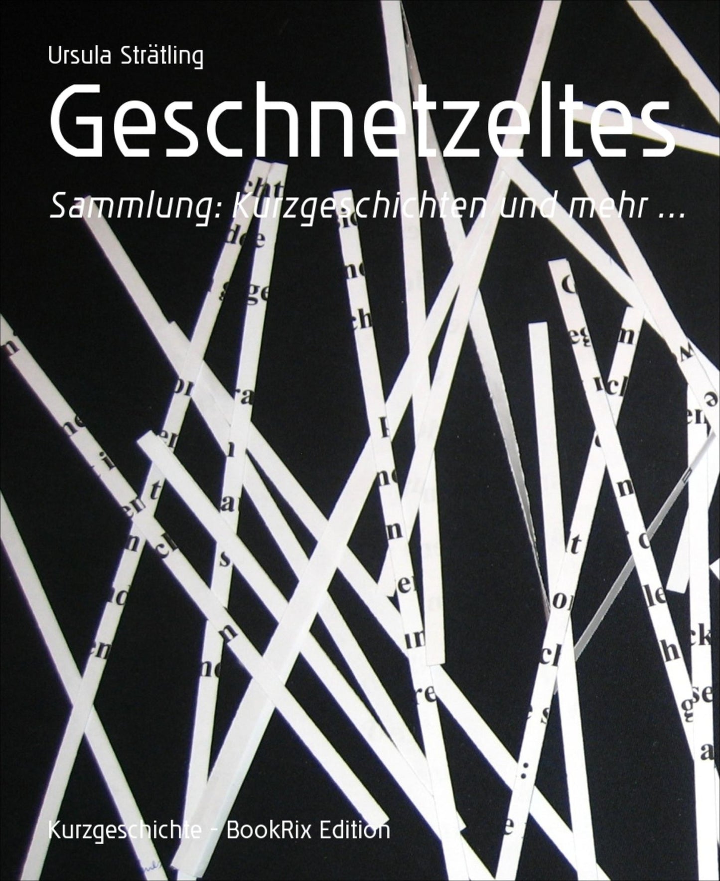 Geschnetzeltes: Sammlung: Kurzgeschichten und mehr ...