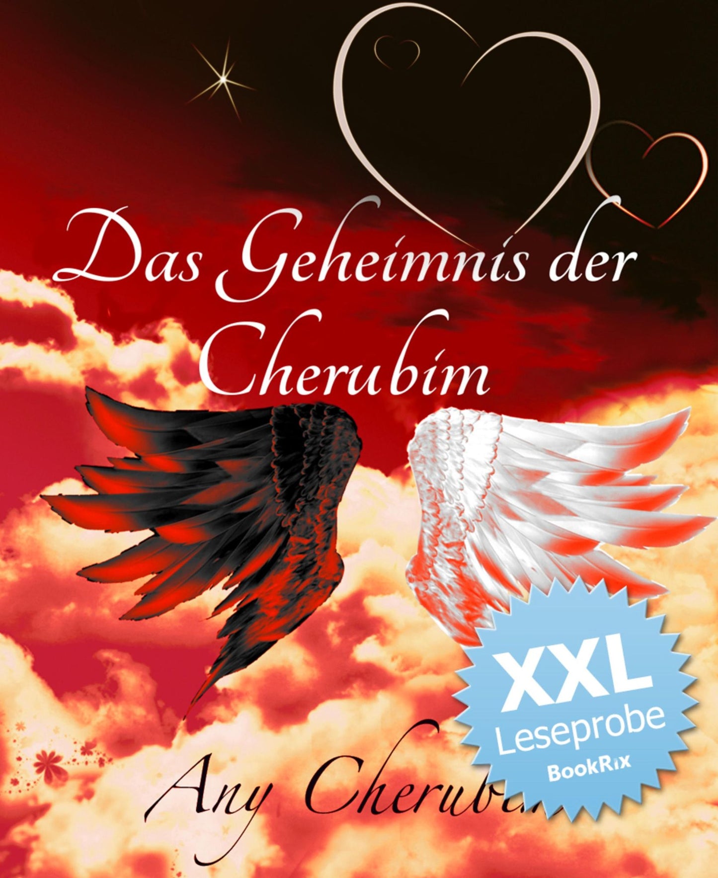 Der geheimnisvolle Cherubim: XXL Leseprobe