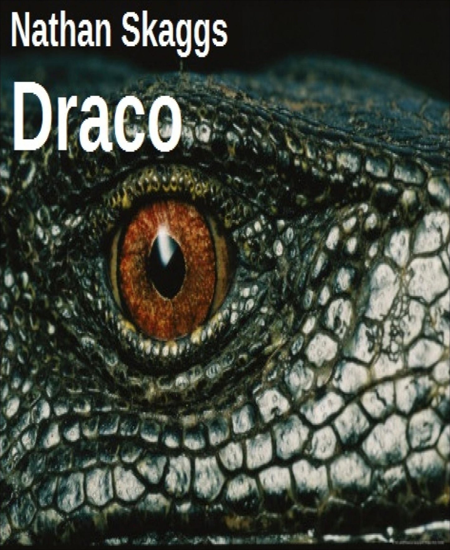 Draco: The Dream Seers