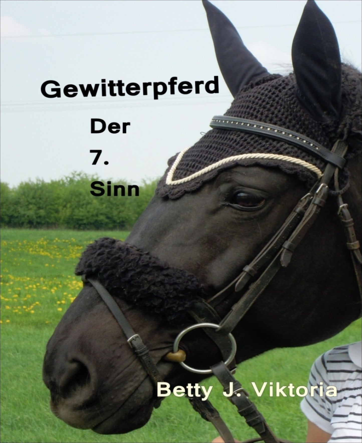 Gewitterpferd: Der 7. Sinn