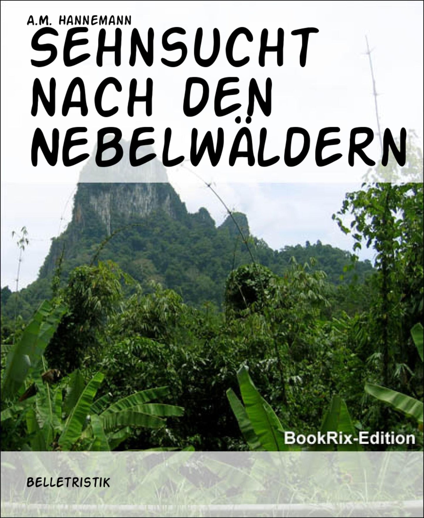 Sehnsucht nach den Nebelwäldern