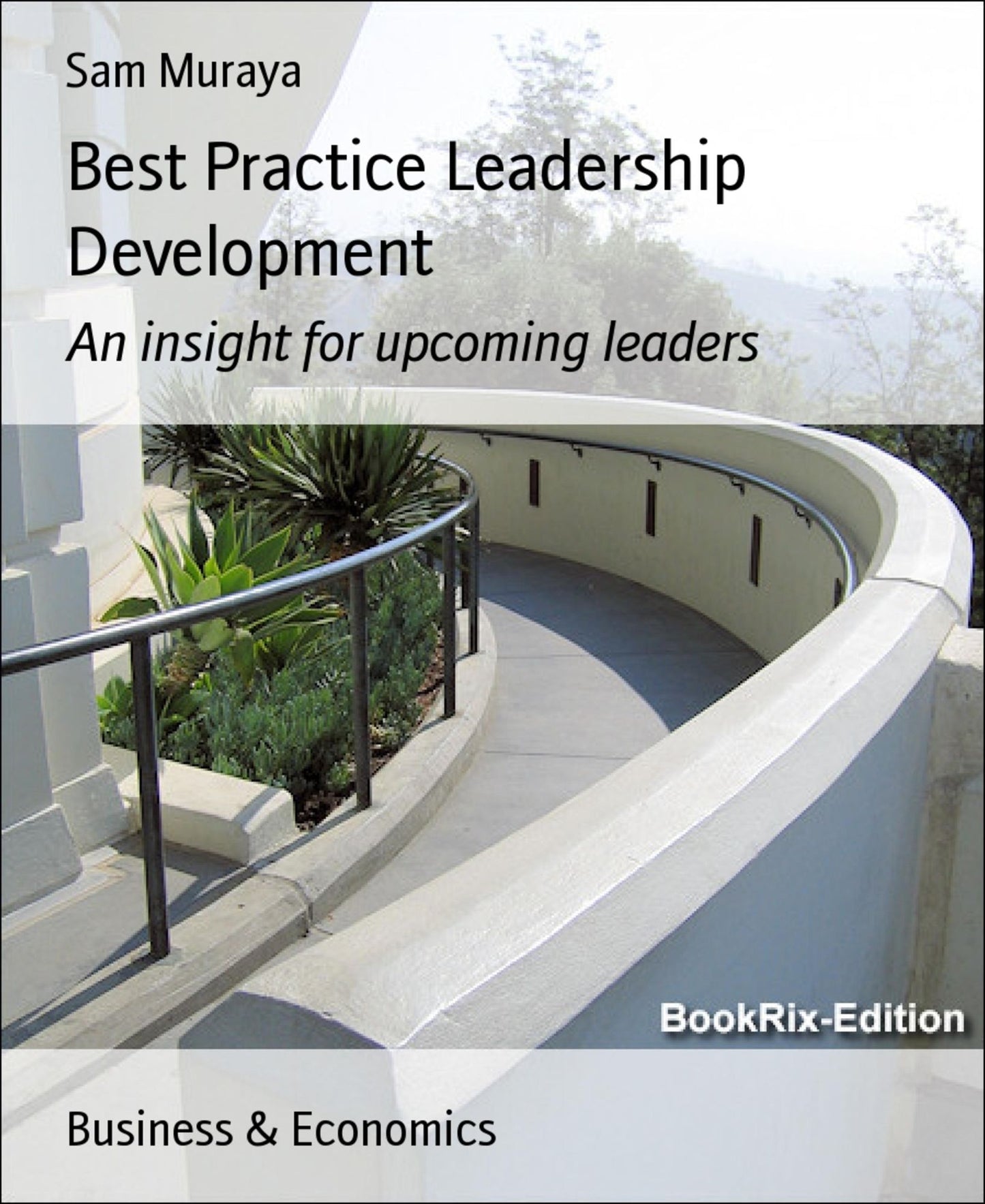 Best Practice Leadership Development: An insight for upcoming leaders