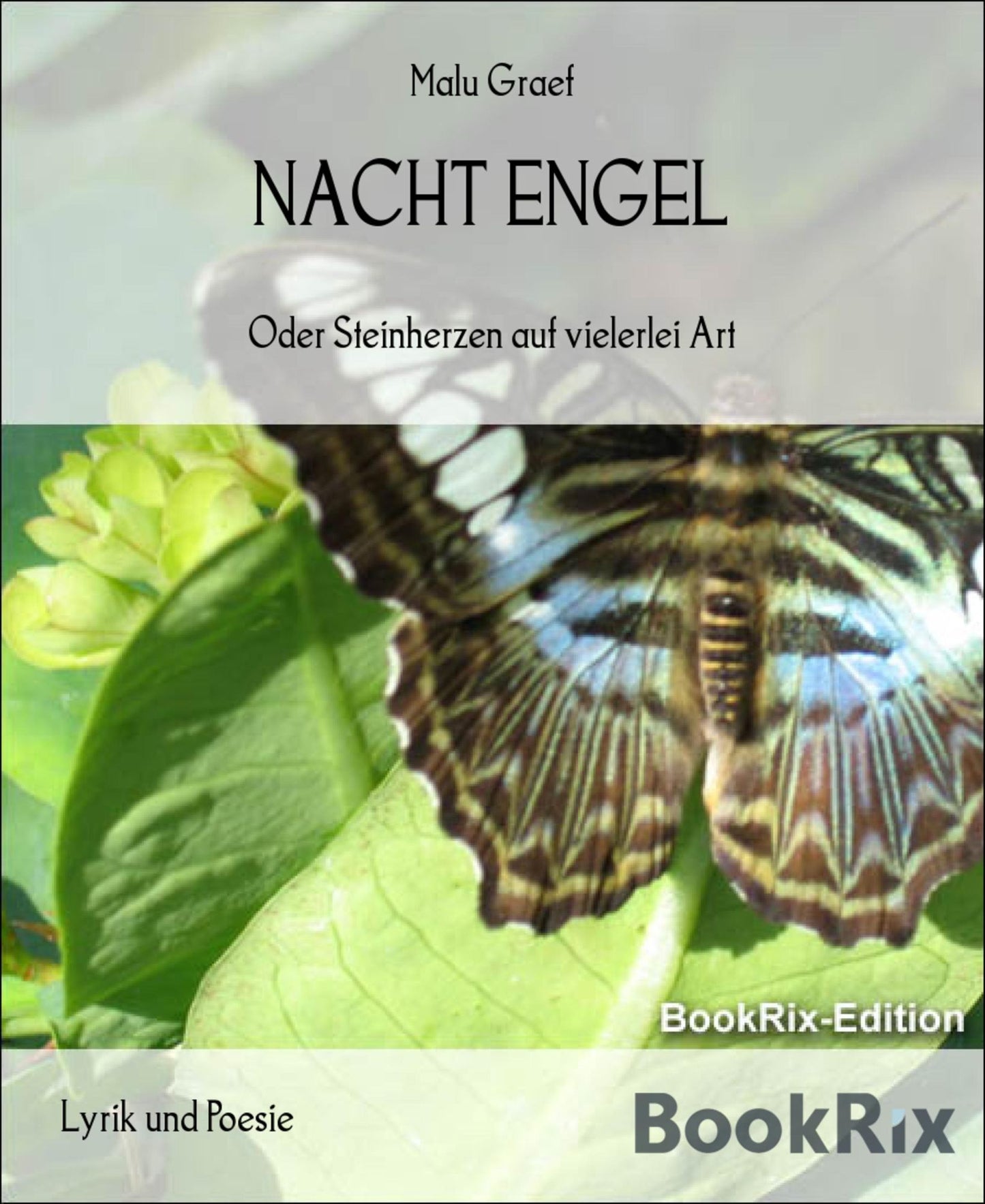 NACHT ENGEL: Oder Steinherzen auf vielerlei Art