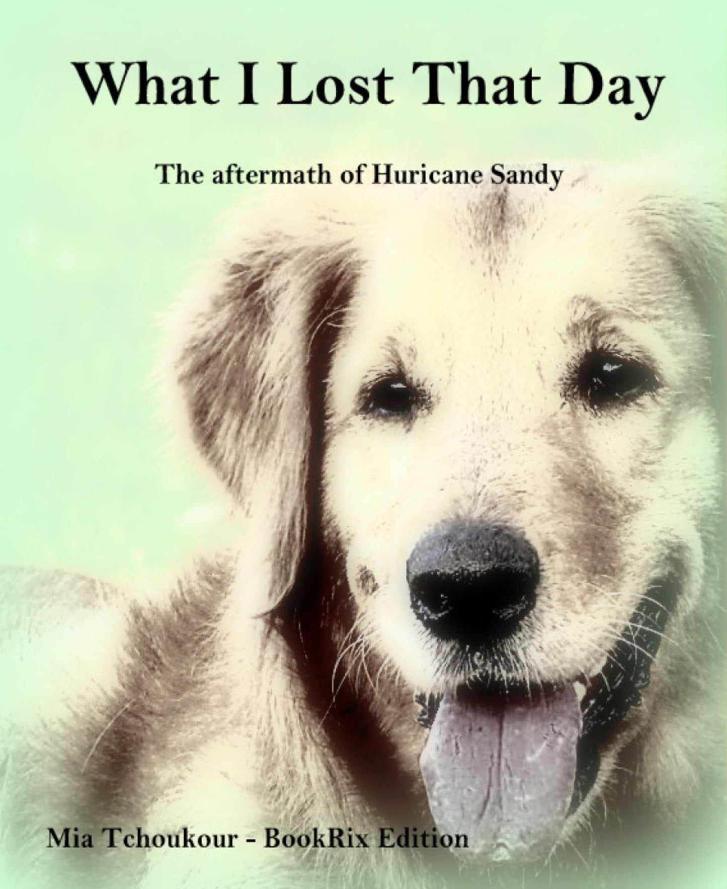What I Lost That Day: The aftermath of Hurricane Sandy