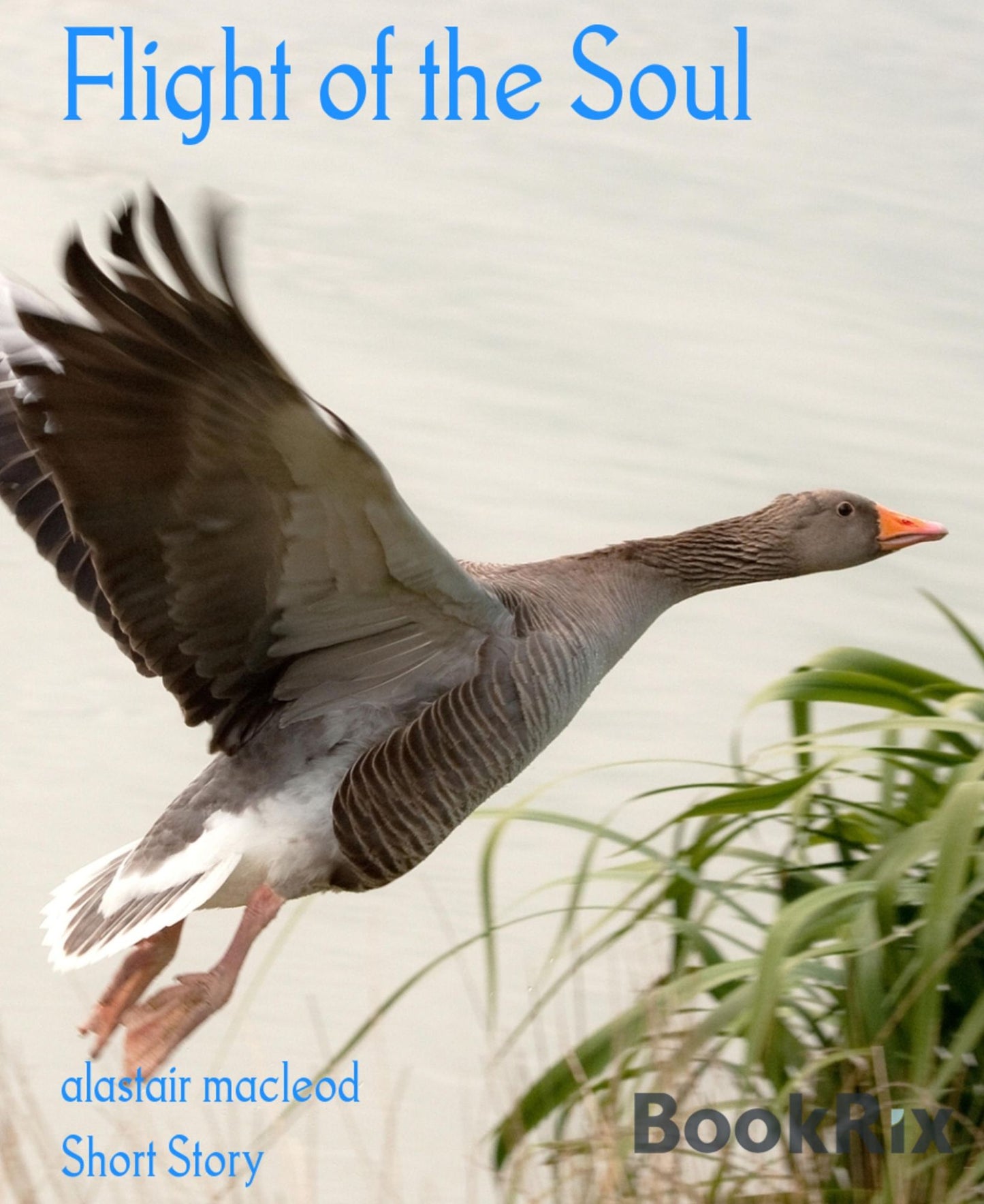 Flight of the Soul
