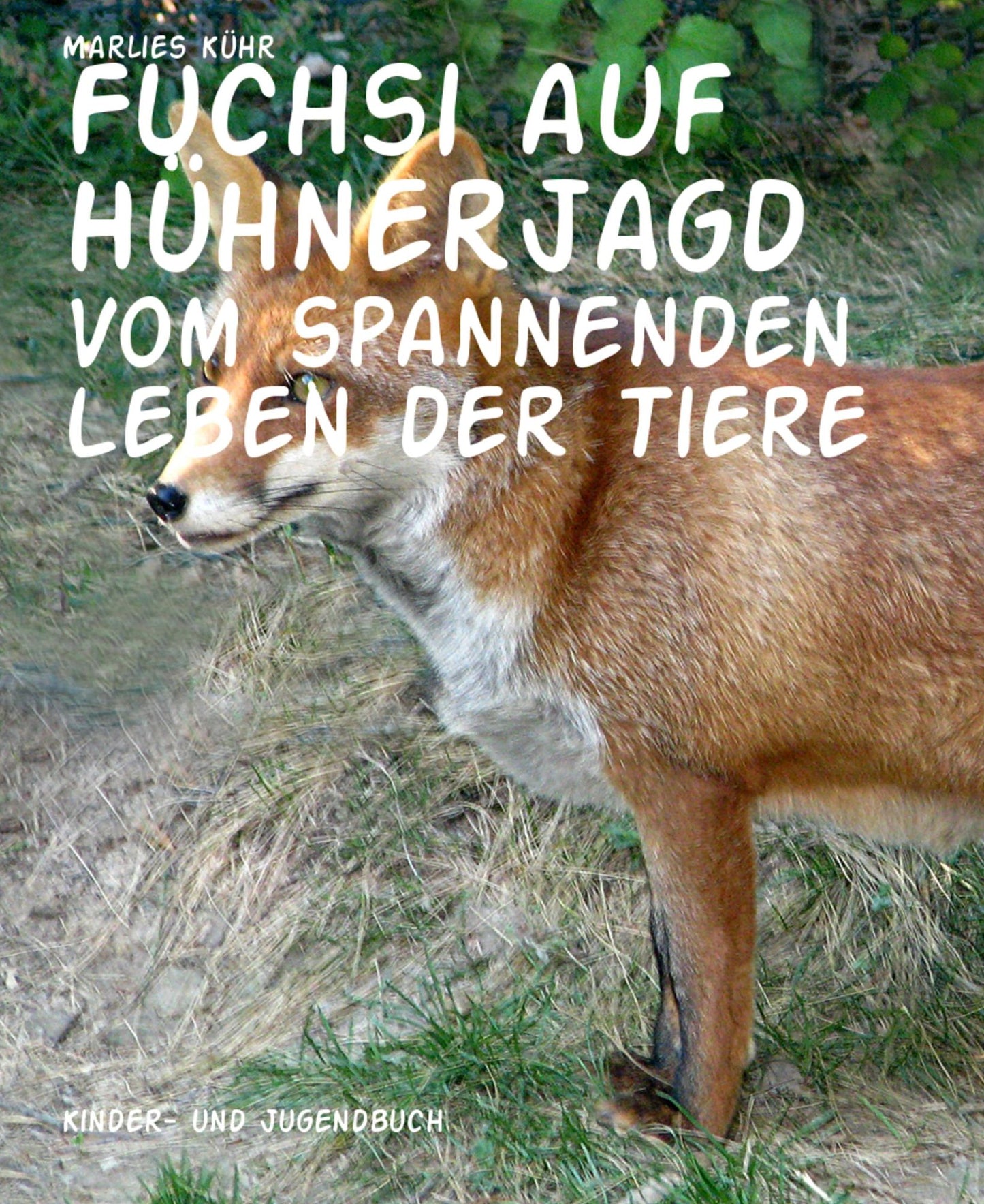 Fuchsi auf Hühnerjagd: Vom spannenden Leben der Tiere
