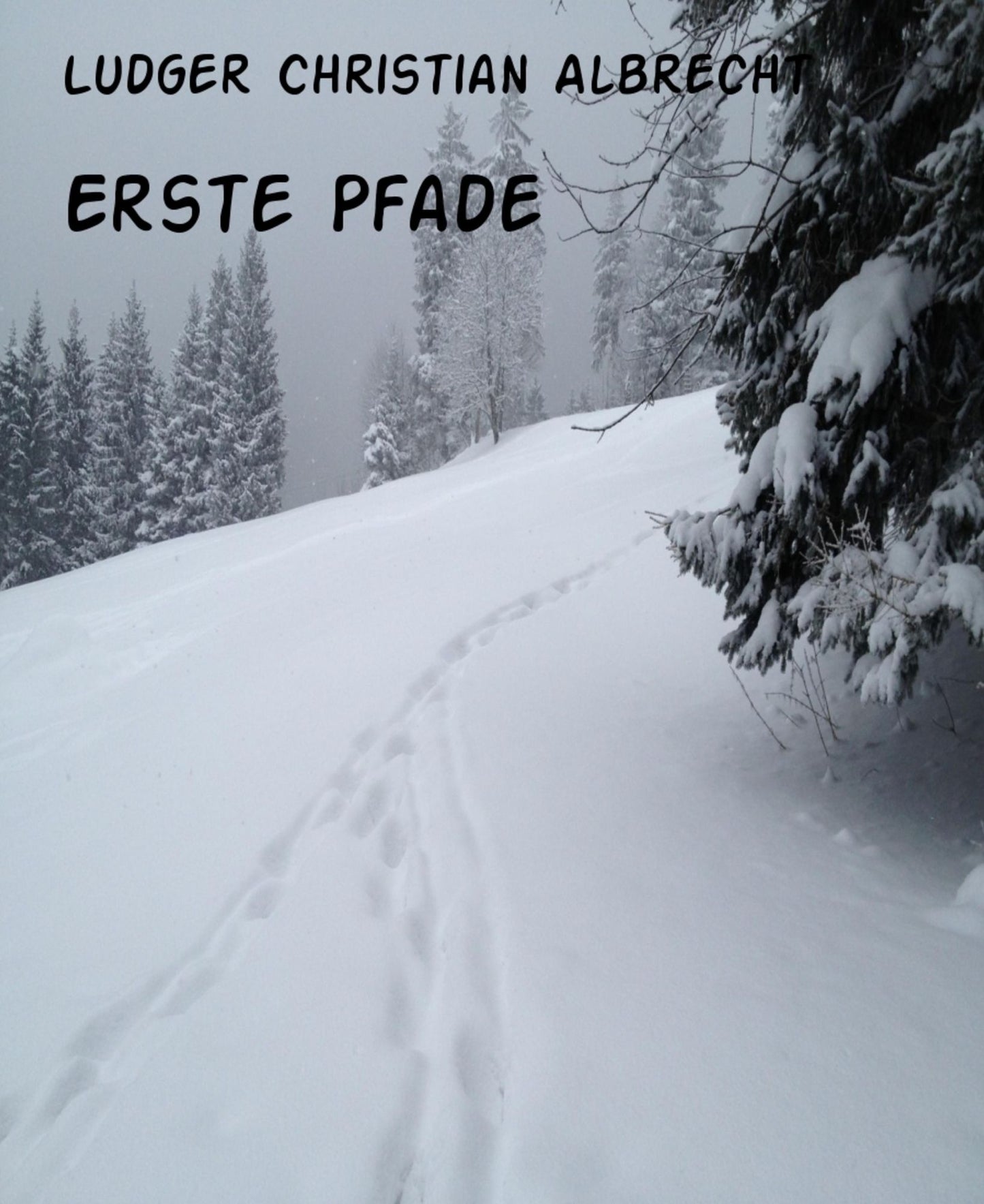 Erste Pfade