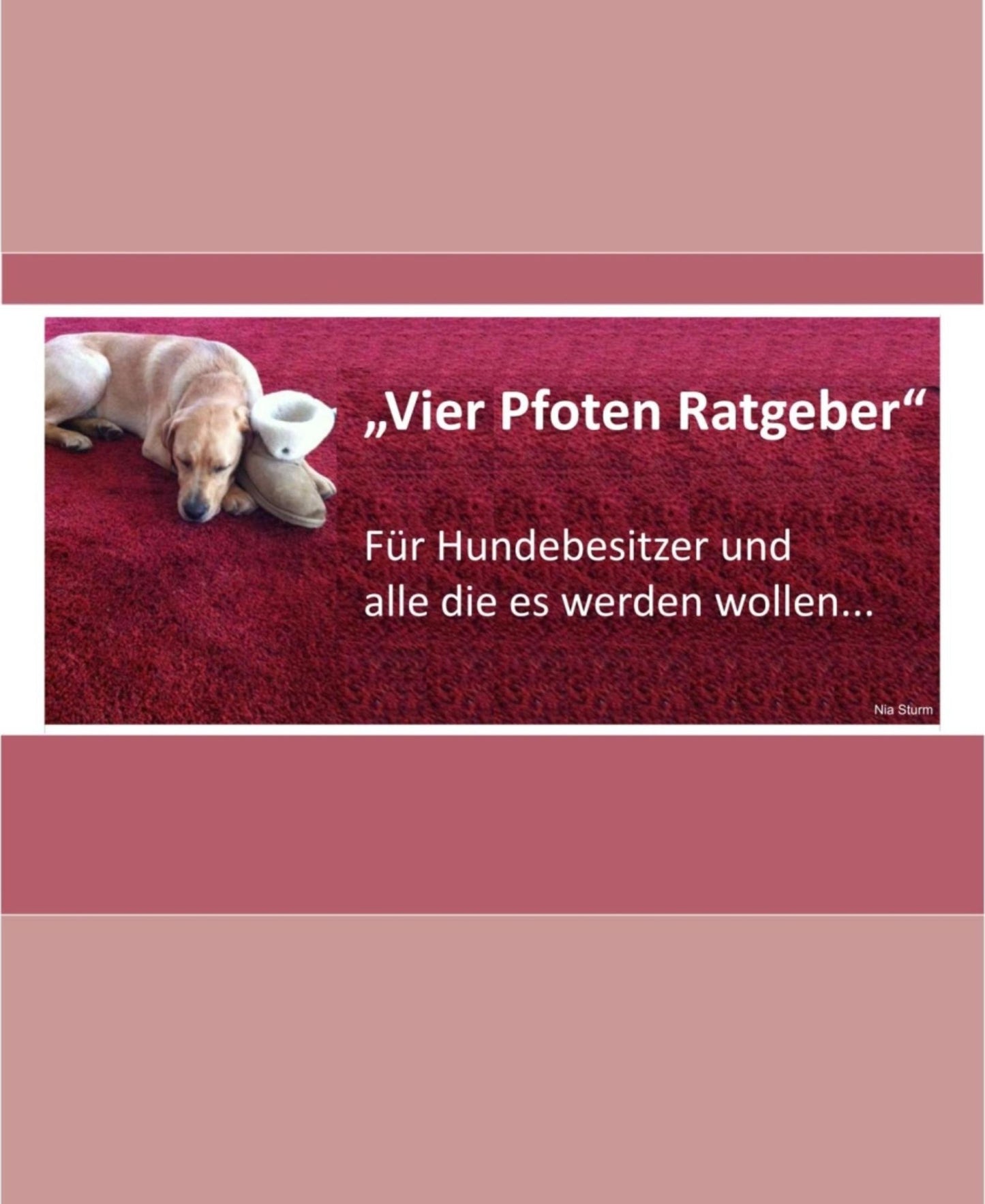 Vier Pfoten Ratgeber: Für Hundebesitzer und alle die es werden wollen...