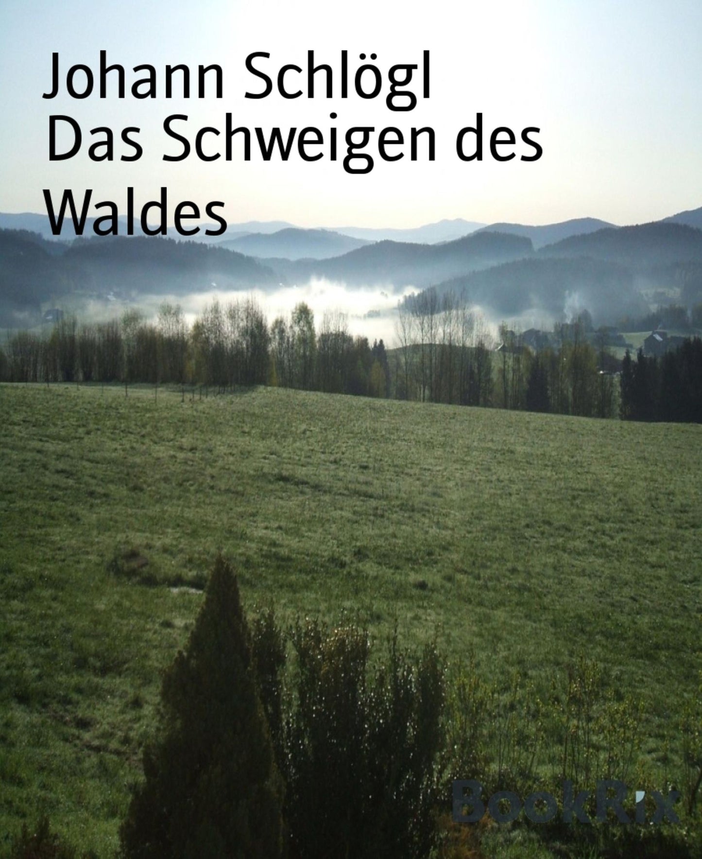Das Schweigen des Waldes: Eine Kriminalgeschichte aus dem Bayerischen Wald