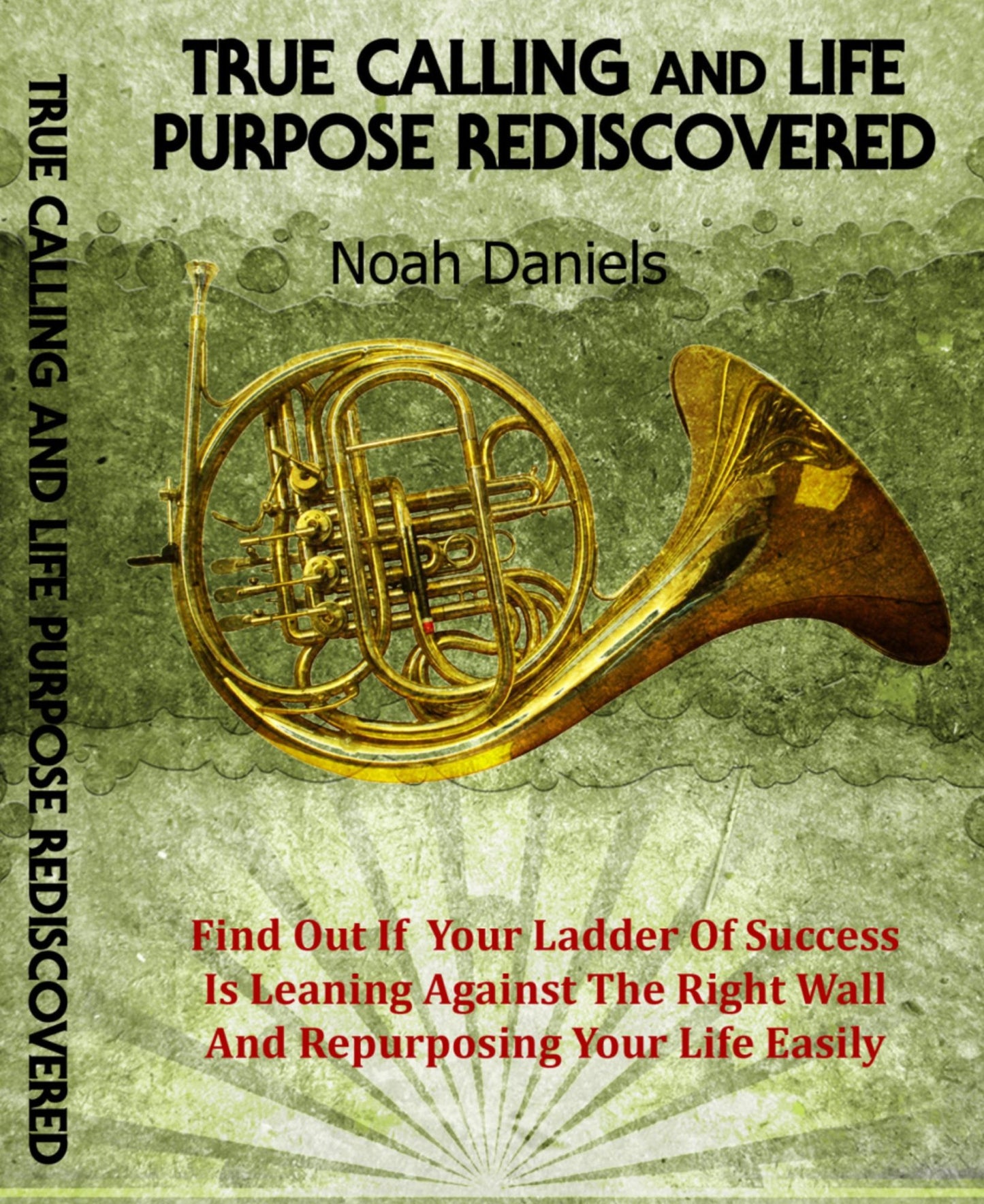 True Calling And Life Purpose Rediscovered: Find Out If Your Ladder Of Success Is Leaning Against The Right Wall And Repurposing Your Life Easily